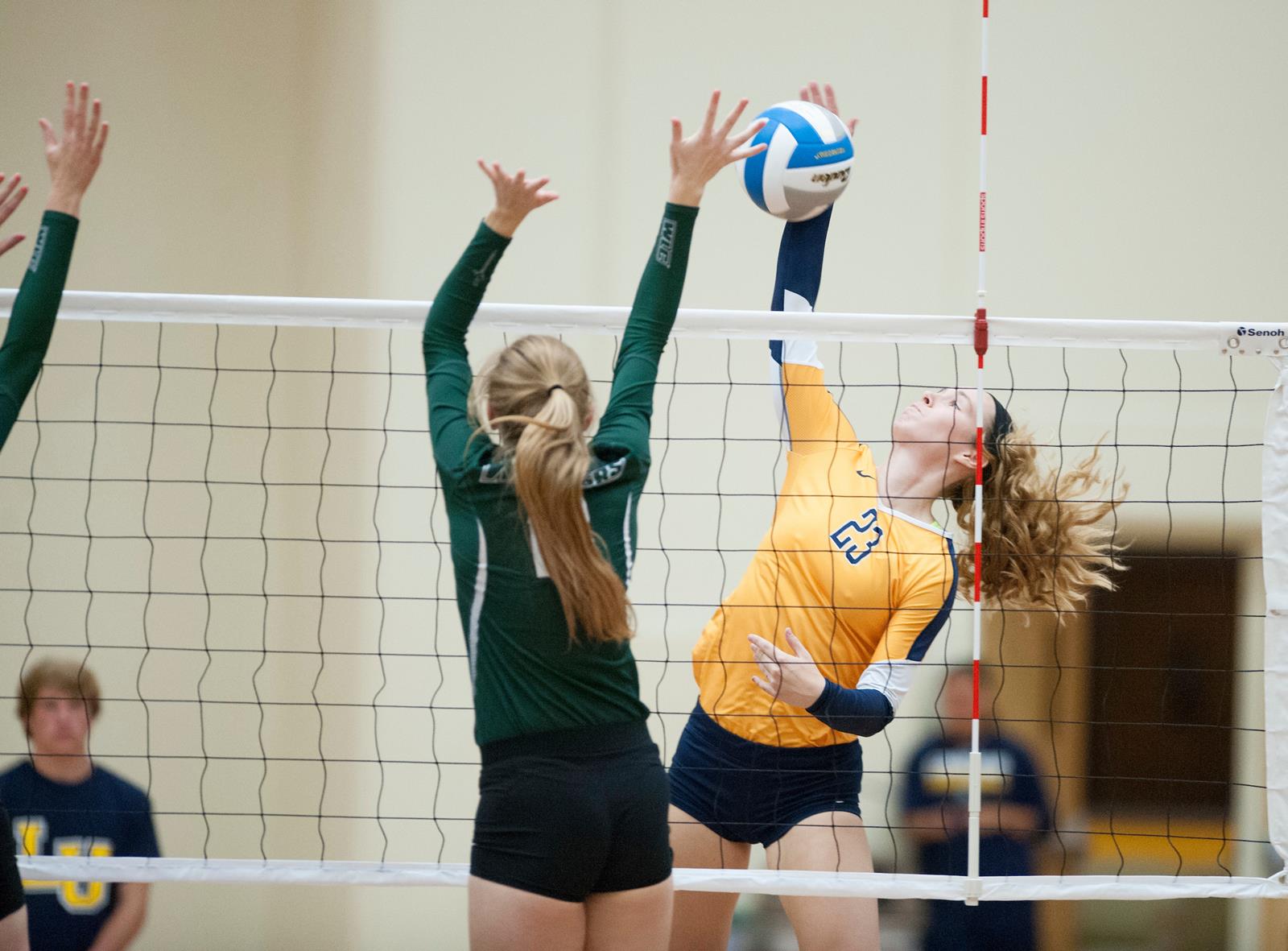 Eliana Arbetman 2018 Women's Volleyball Lakeland University Athletics