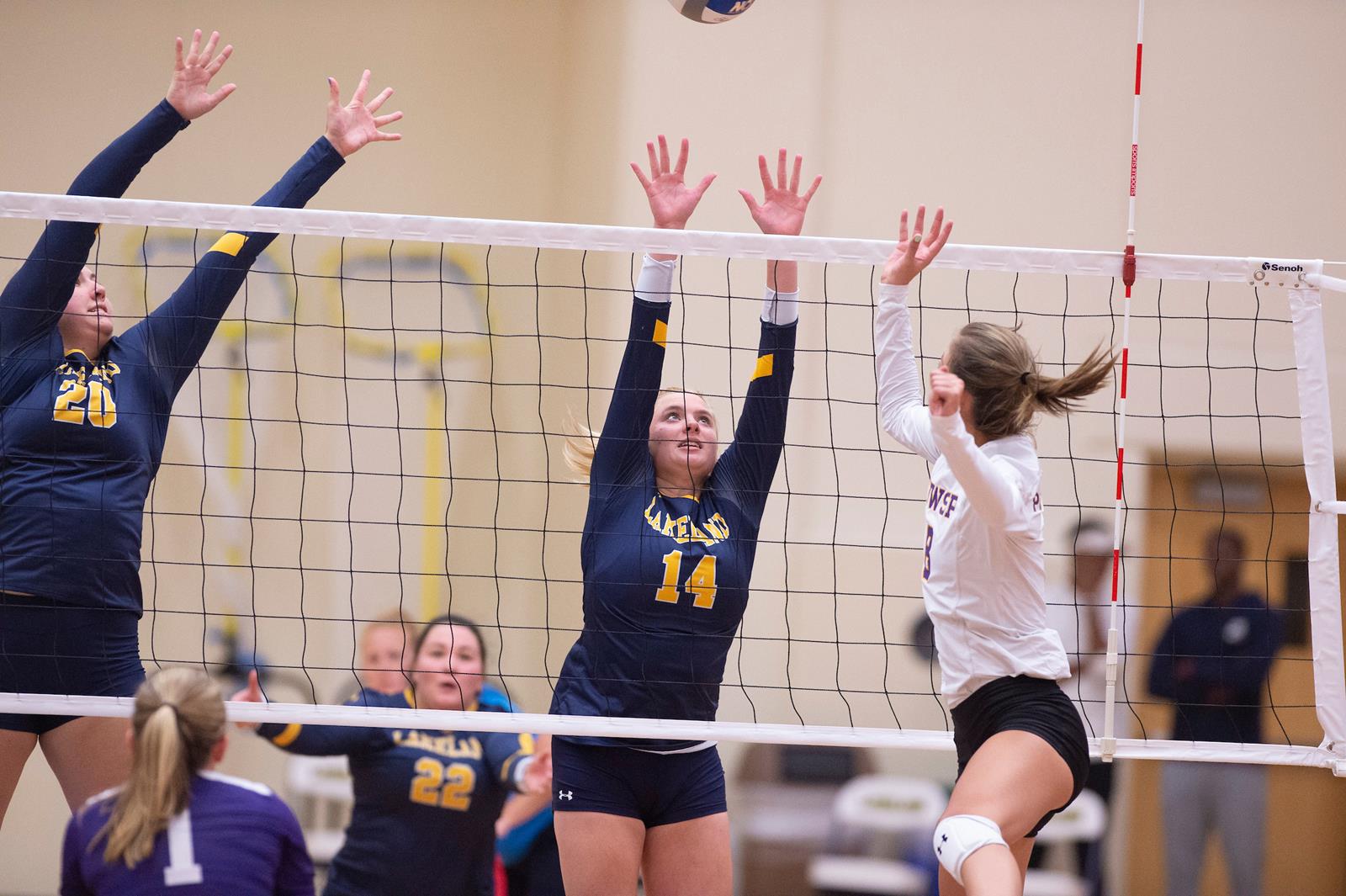 Emily Bringer 2021 Women's Volleyball Lakeland University Athletics