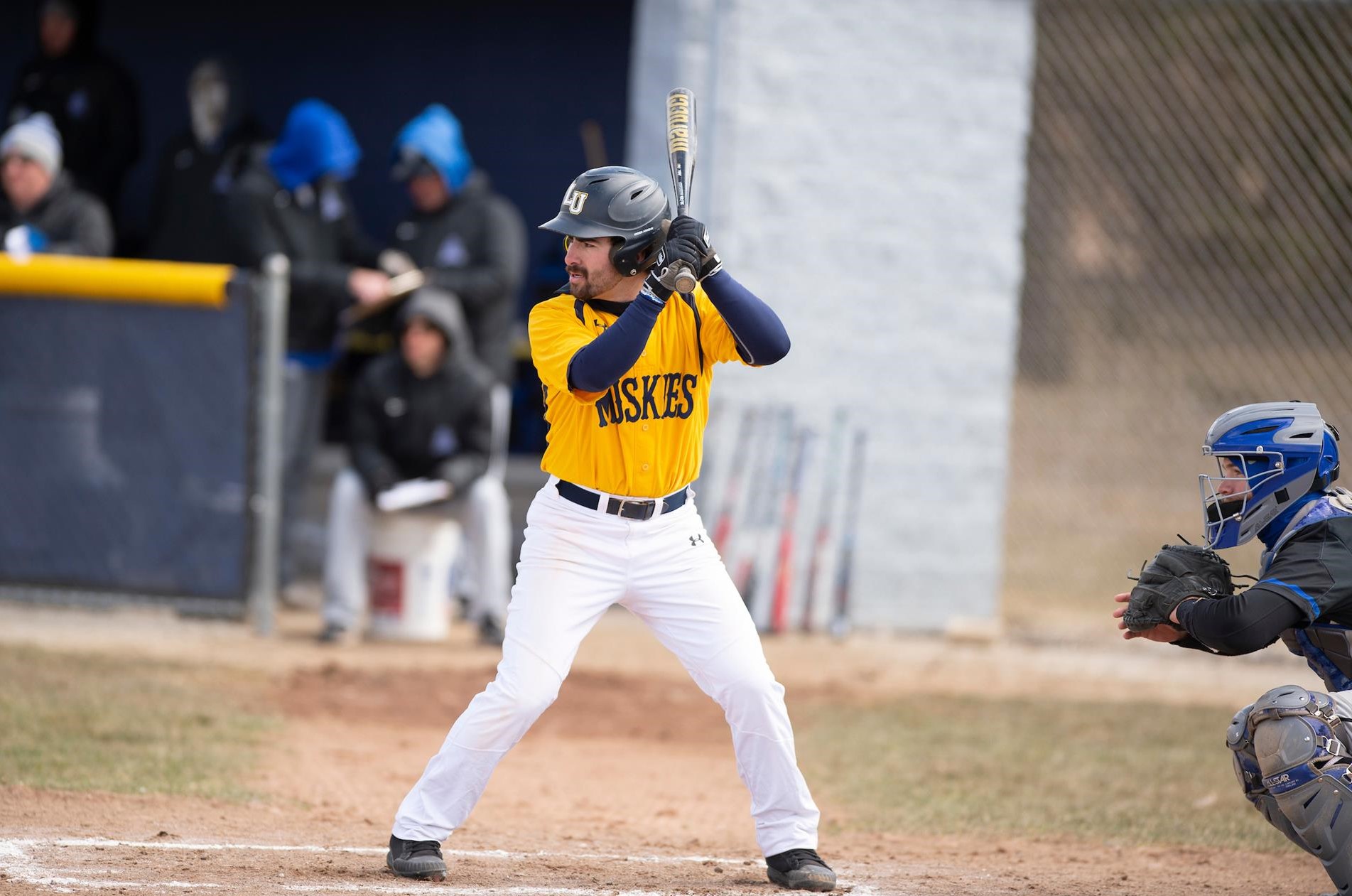 Jack Banks 2022 Baseball Lakeland University Athletics