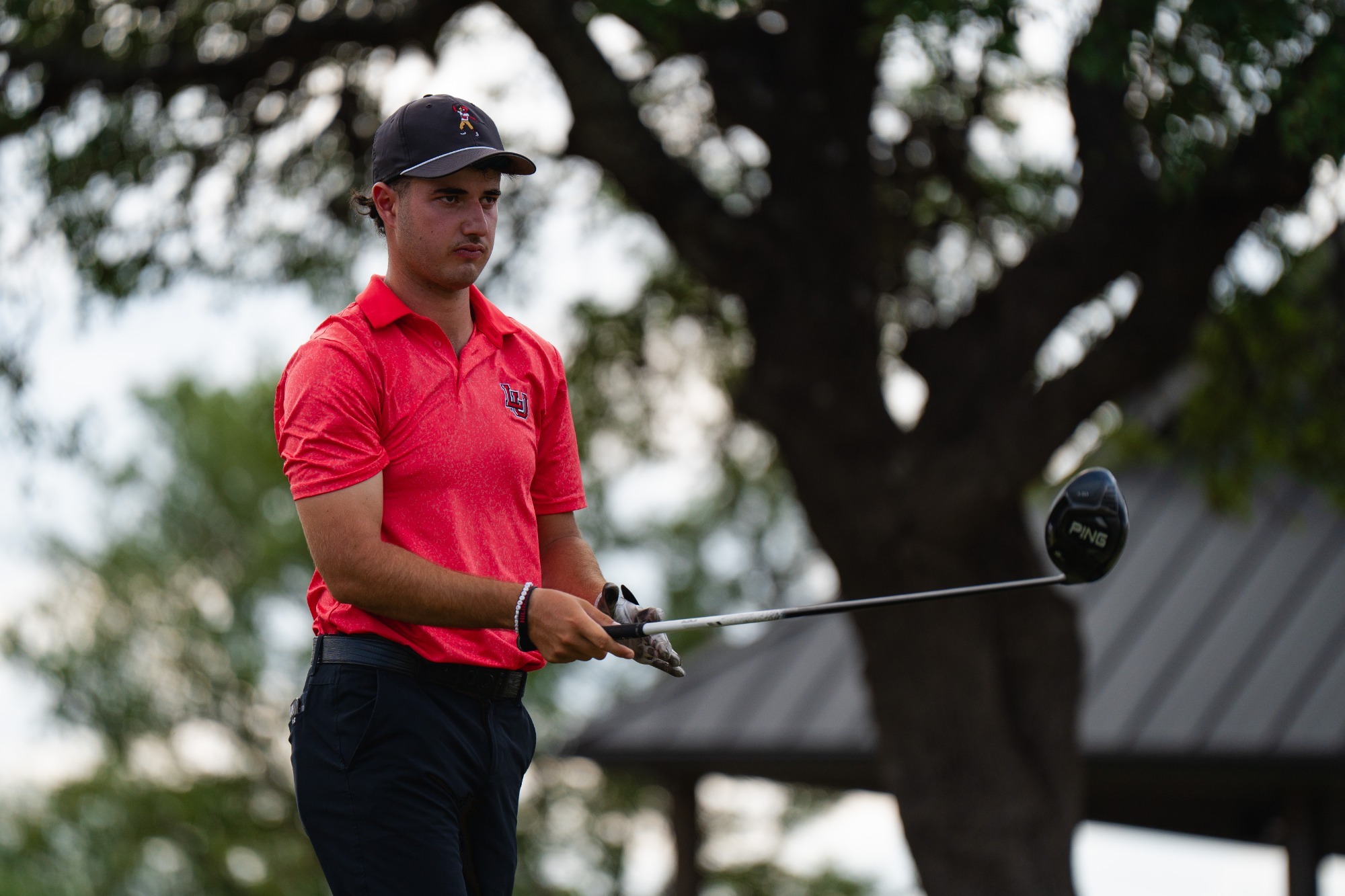 David Schneider Jerez