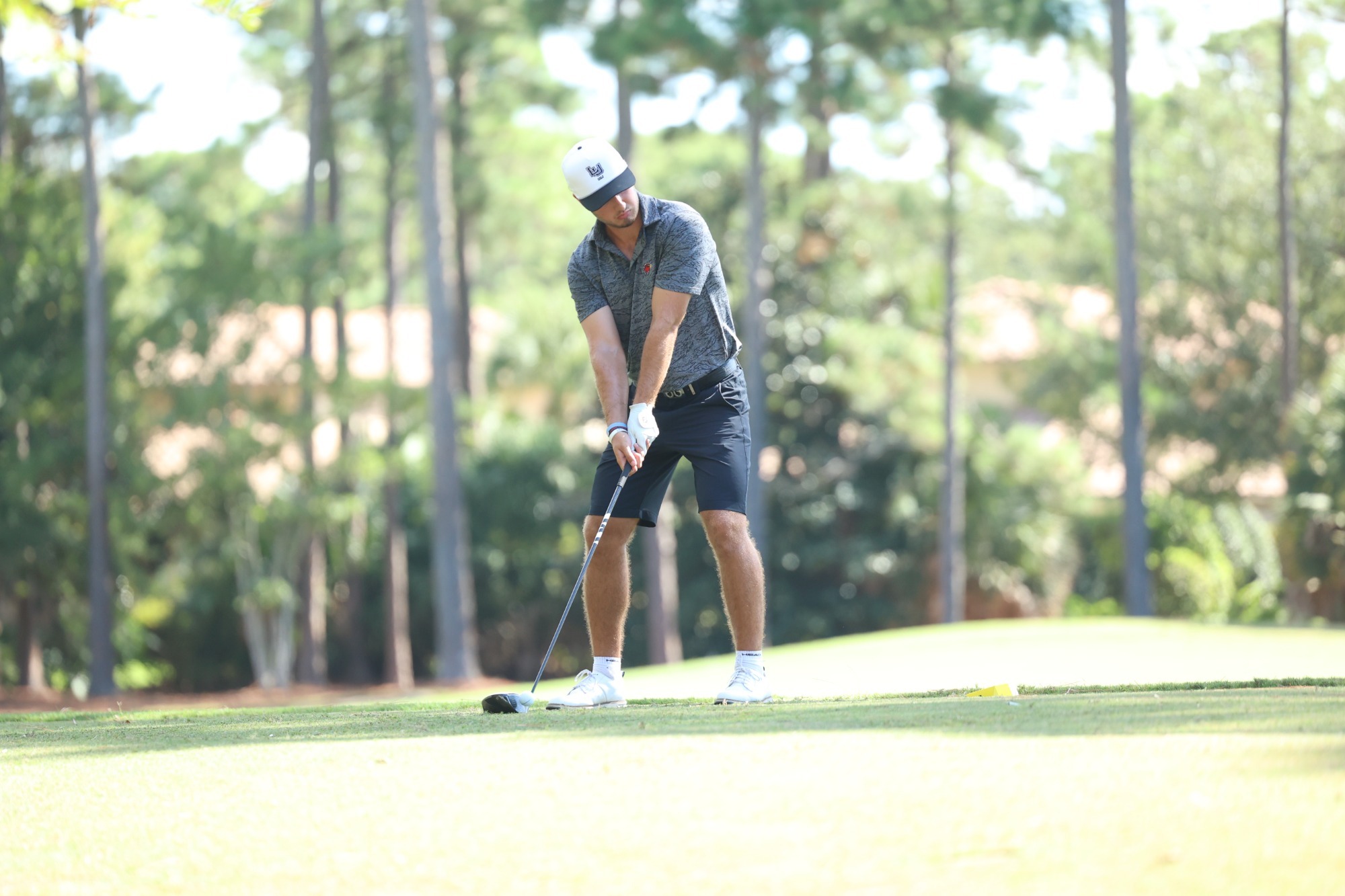 David Schneider Jerez