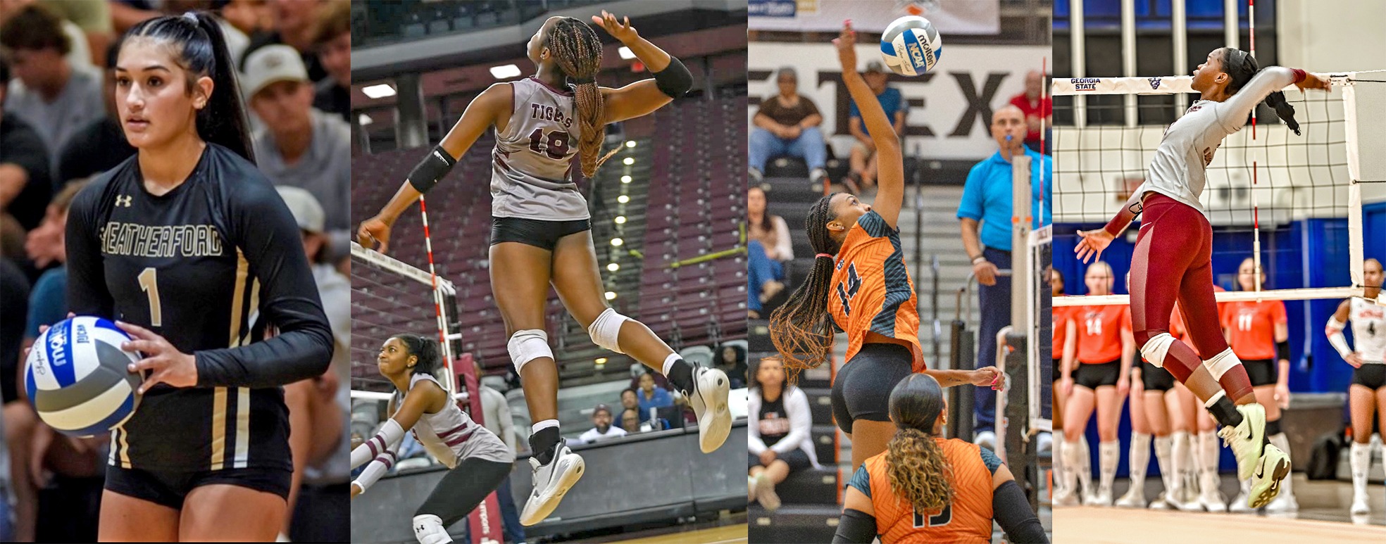 LU VB Transfer Portal Photo