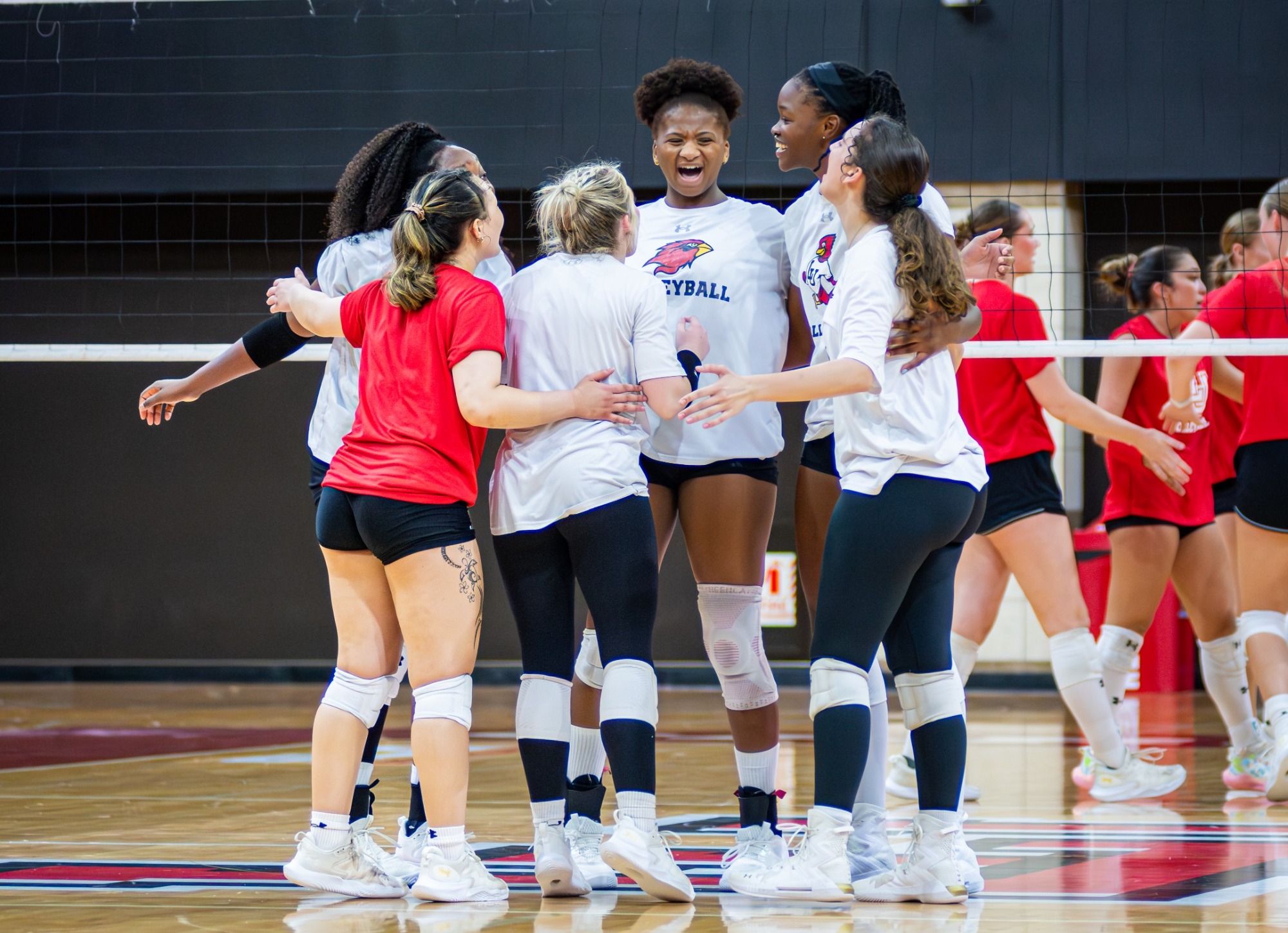 LU VB Team Action Shot
