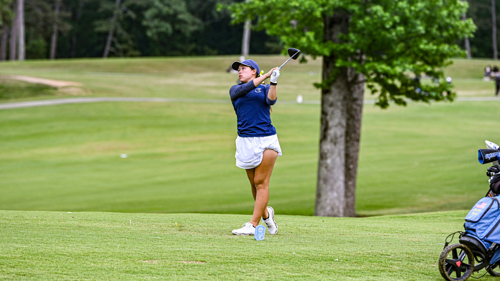 Sakurako Tanaka 2025 Spring