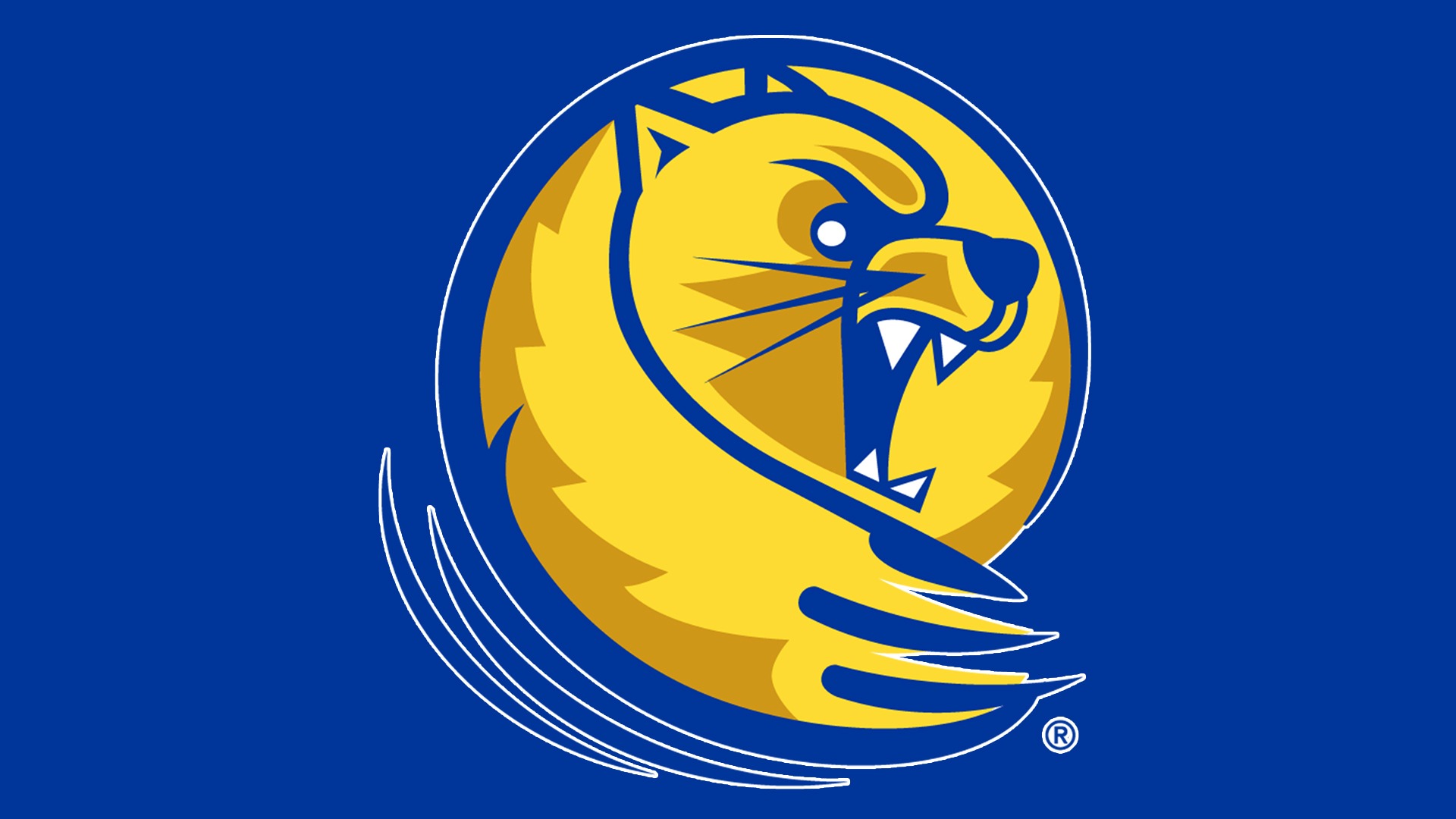 New Colors Generic Release