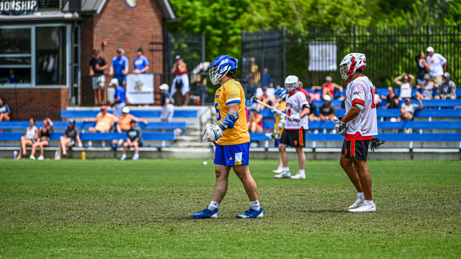 Zane Dalpe vs. Flagler 2025