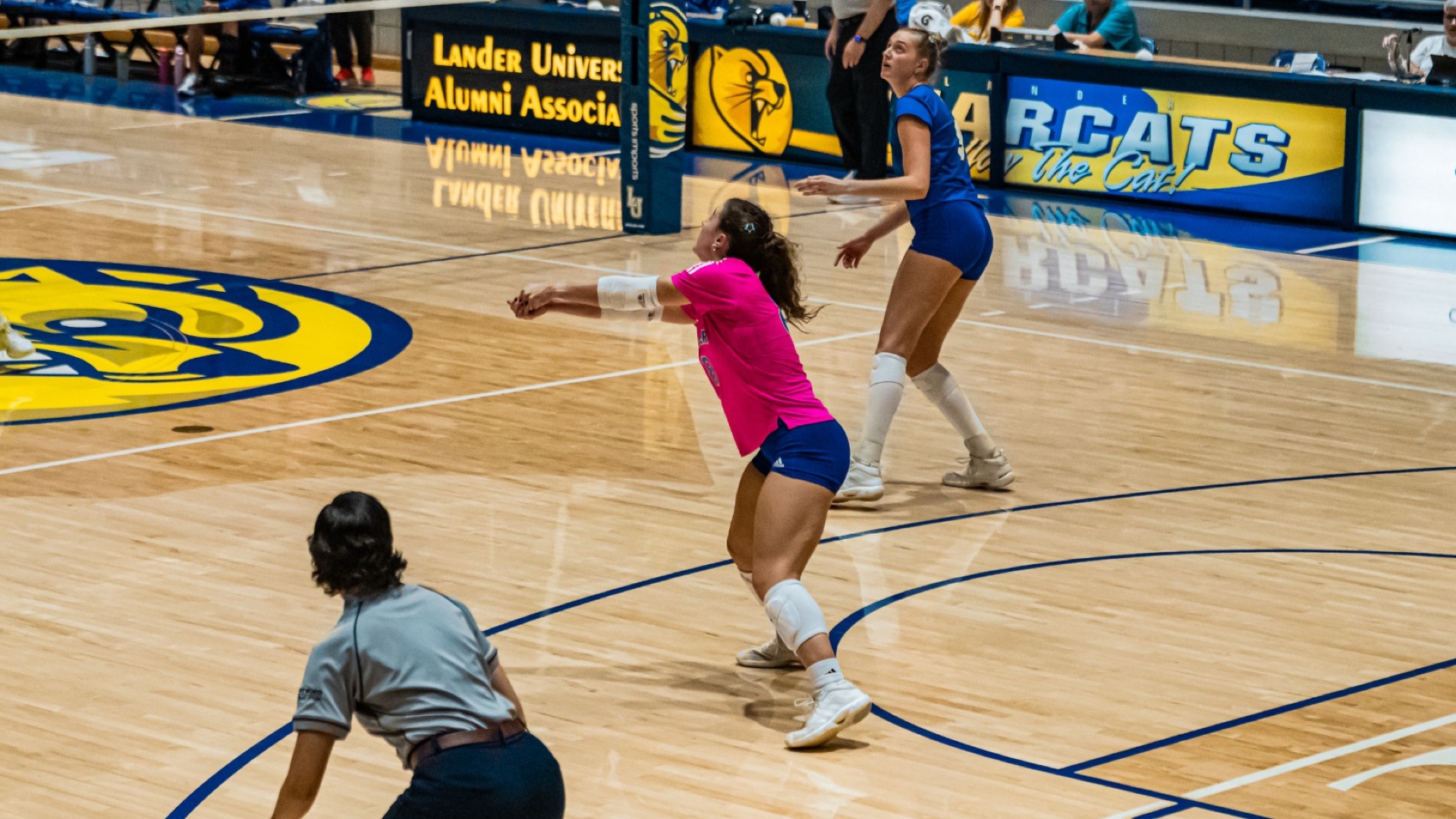 Sam Alwardt Libero