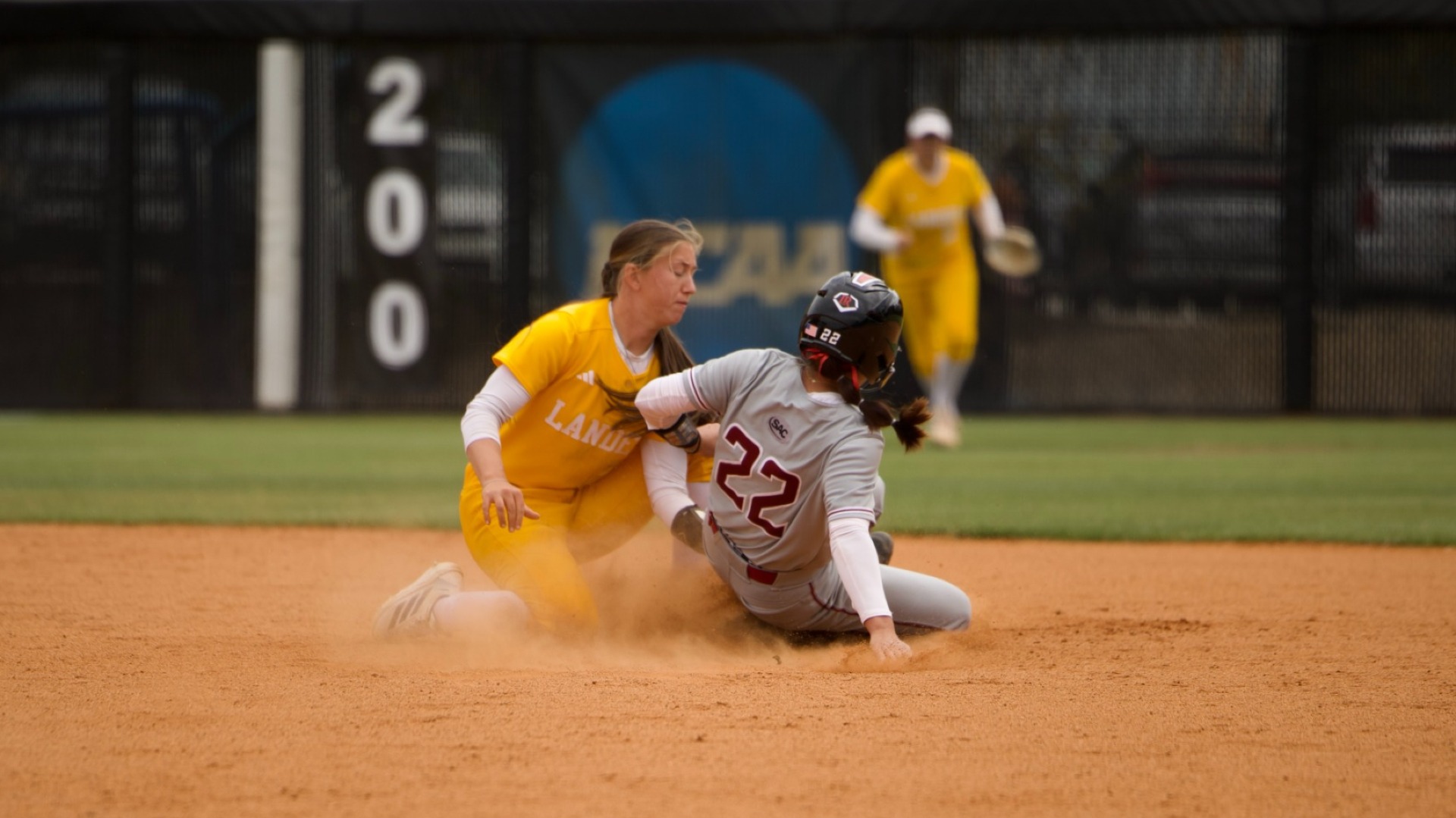 Bella Angeli vs Lenoir-Rhyne 2026 Softball