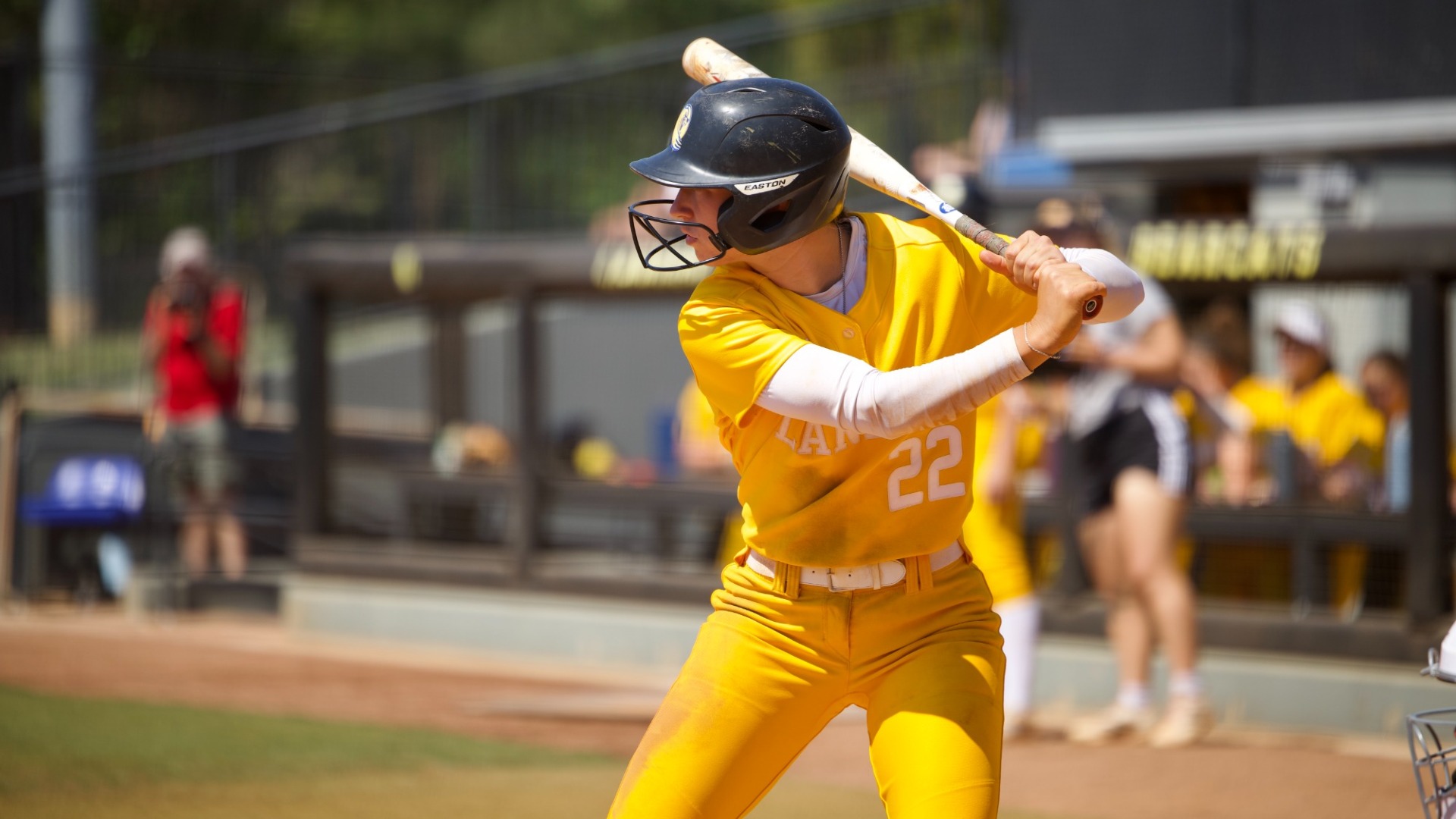 Bella Angeli Softball 2026