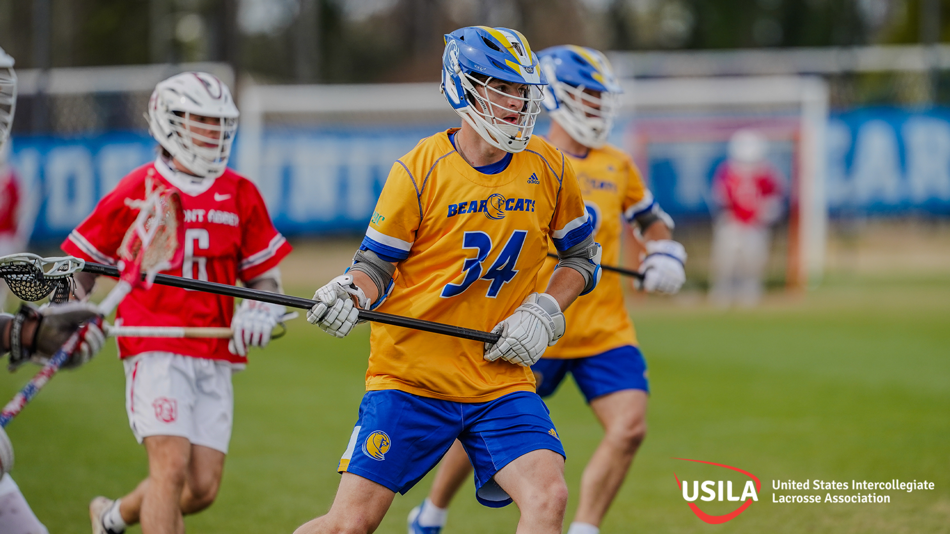 Mitchell Festi USILA All-Region 2026
