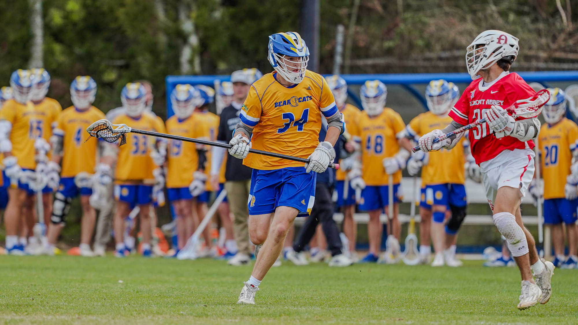 Mitchell Festi USILA All-American 2026