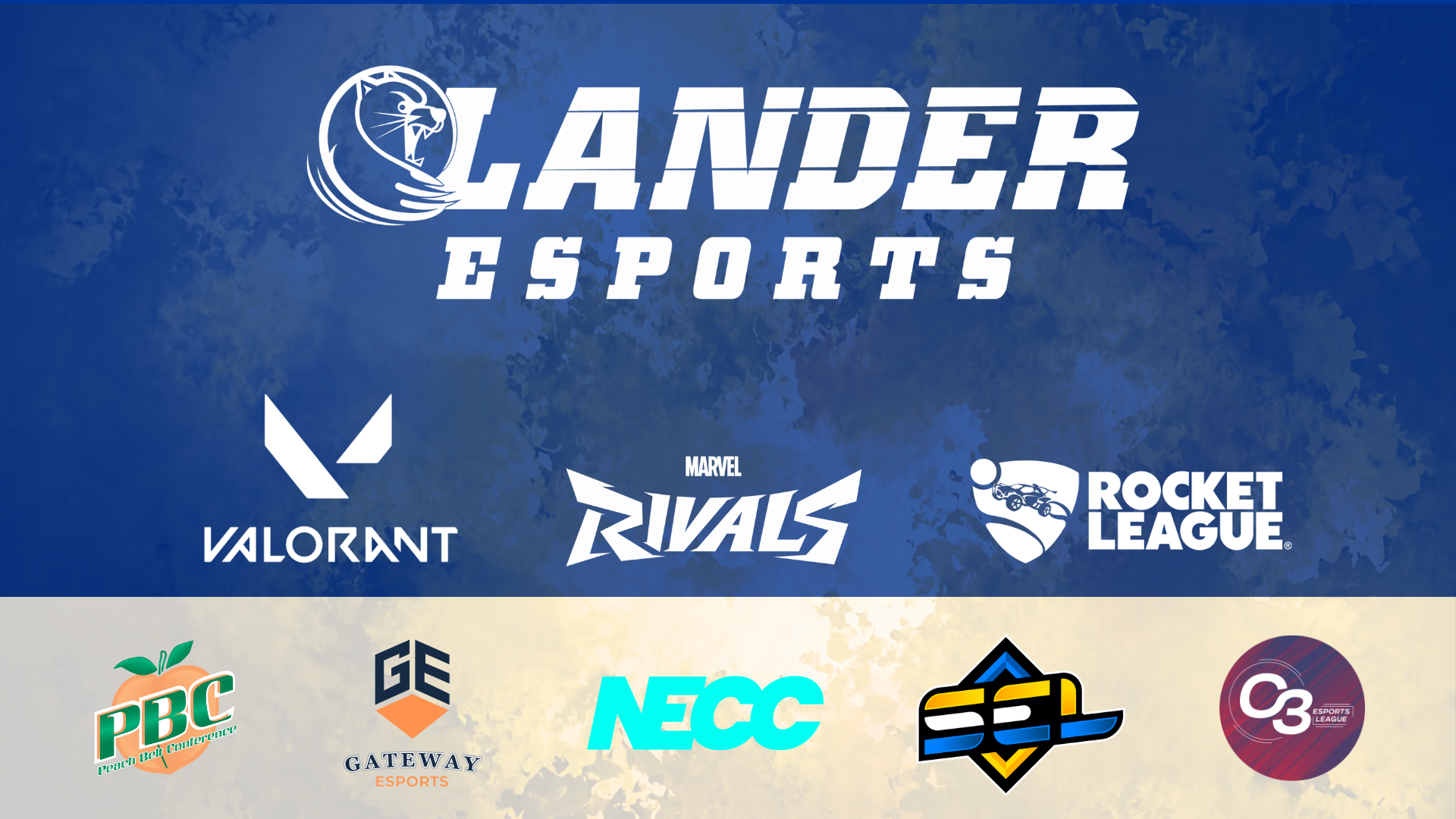 Lander Esports Background