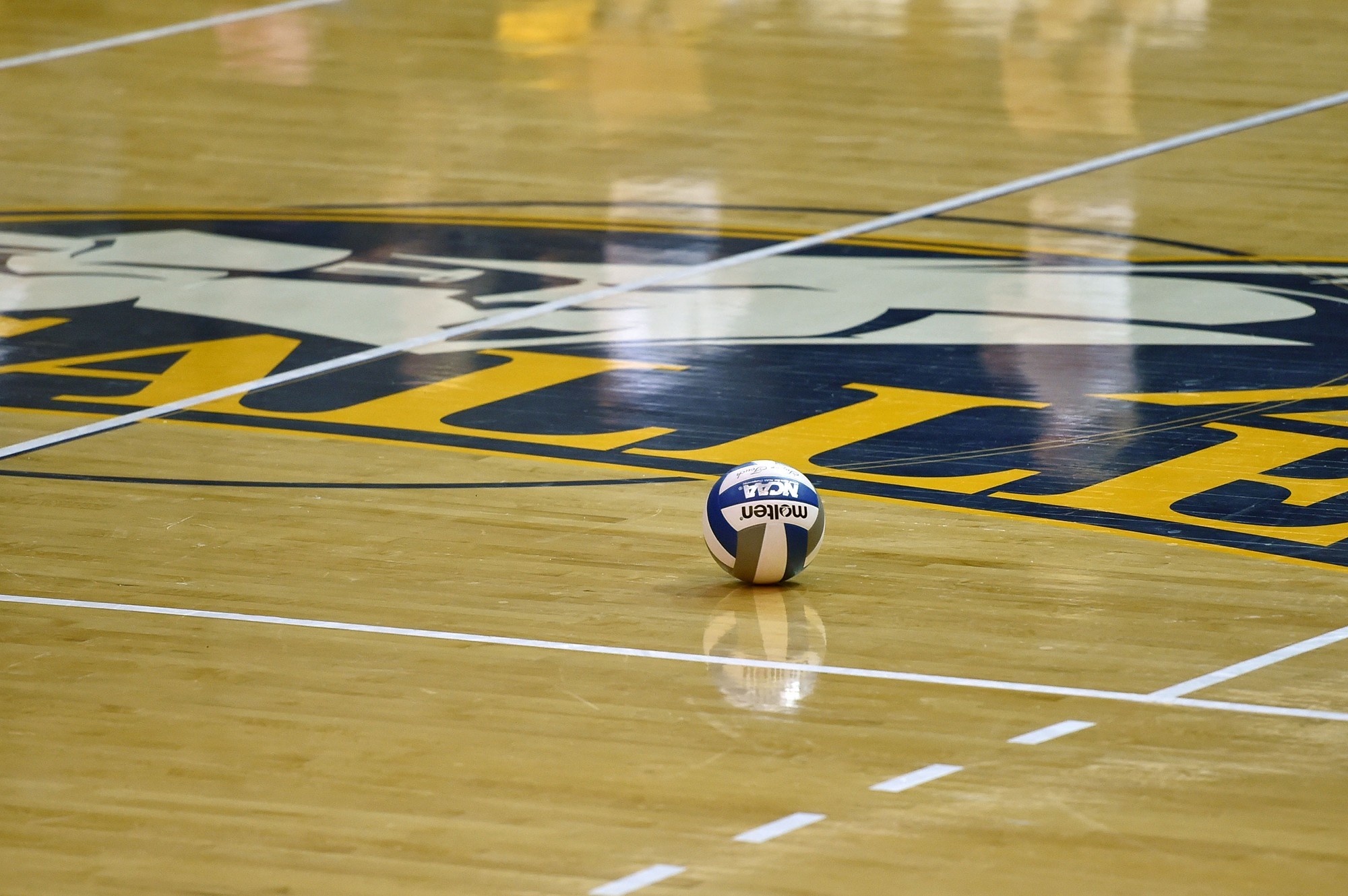 La Salle Adds Three to Volleyball Recruiting Class La Salle