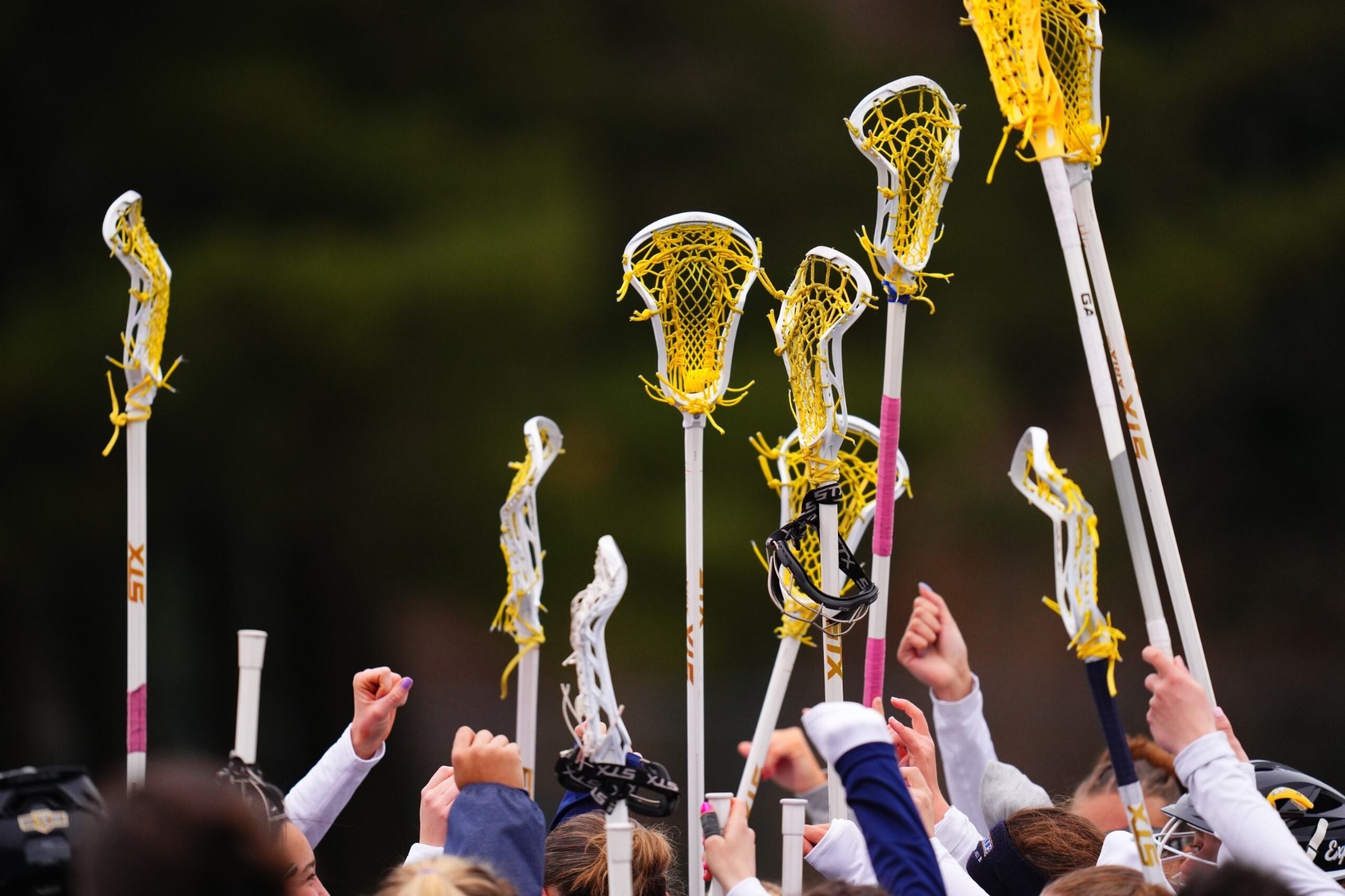 Women's Lacrosse