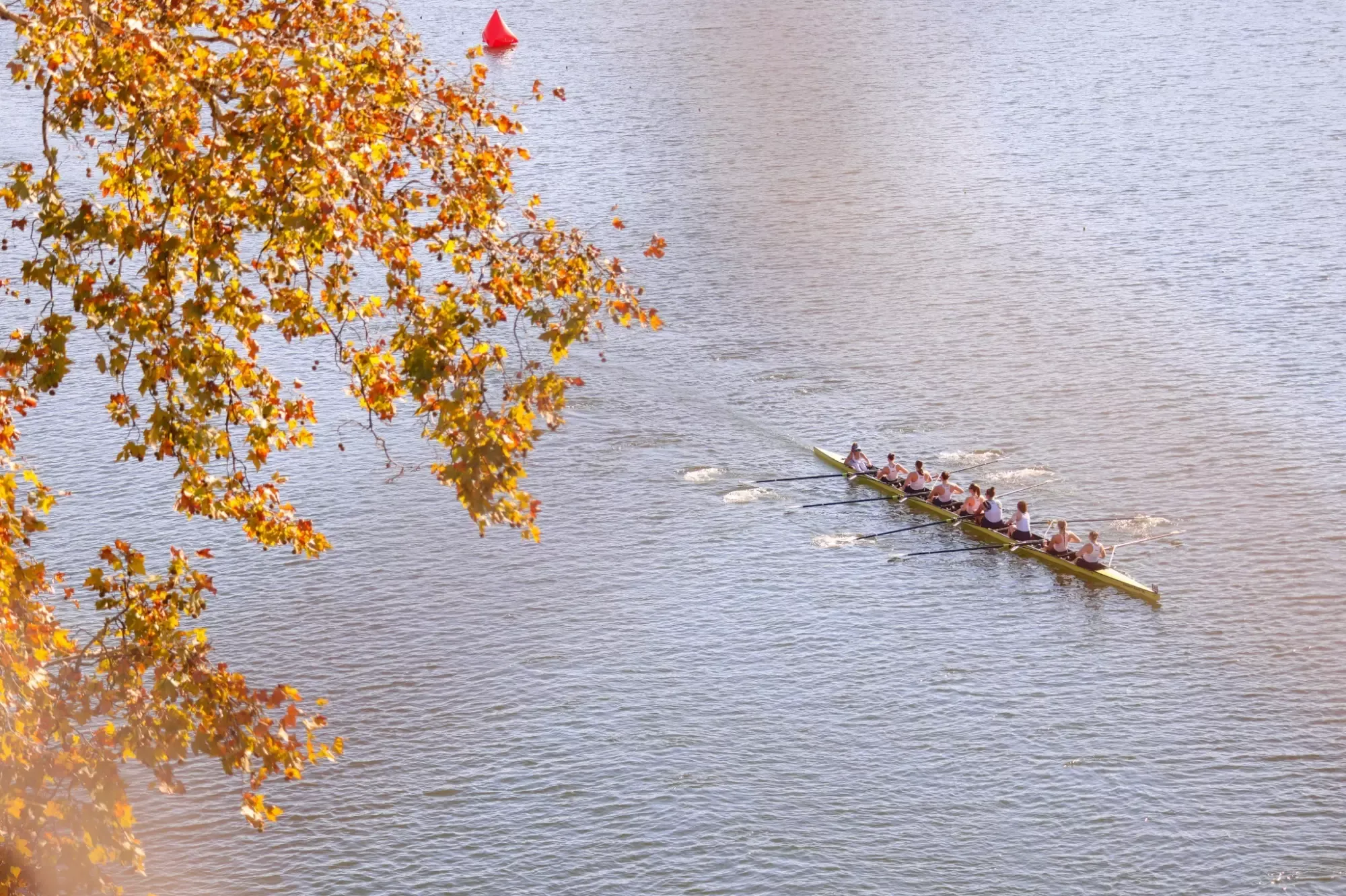 Women's Rowing at Head of the Schuylkill 10/24/26