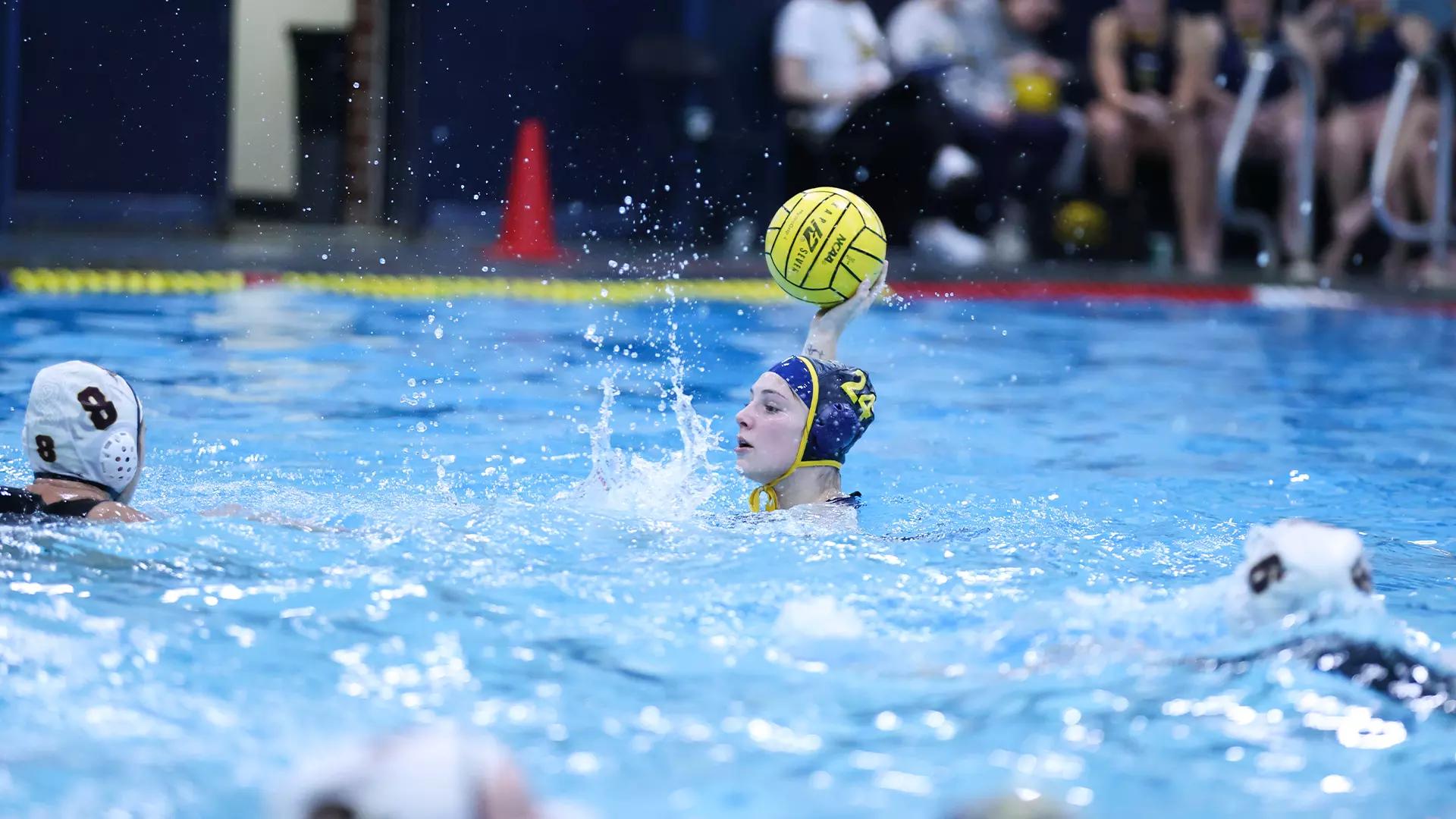 2/7/2026: Paige Mitchell vs. Iona