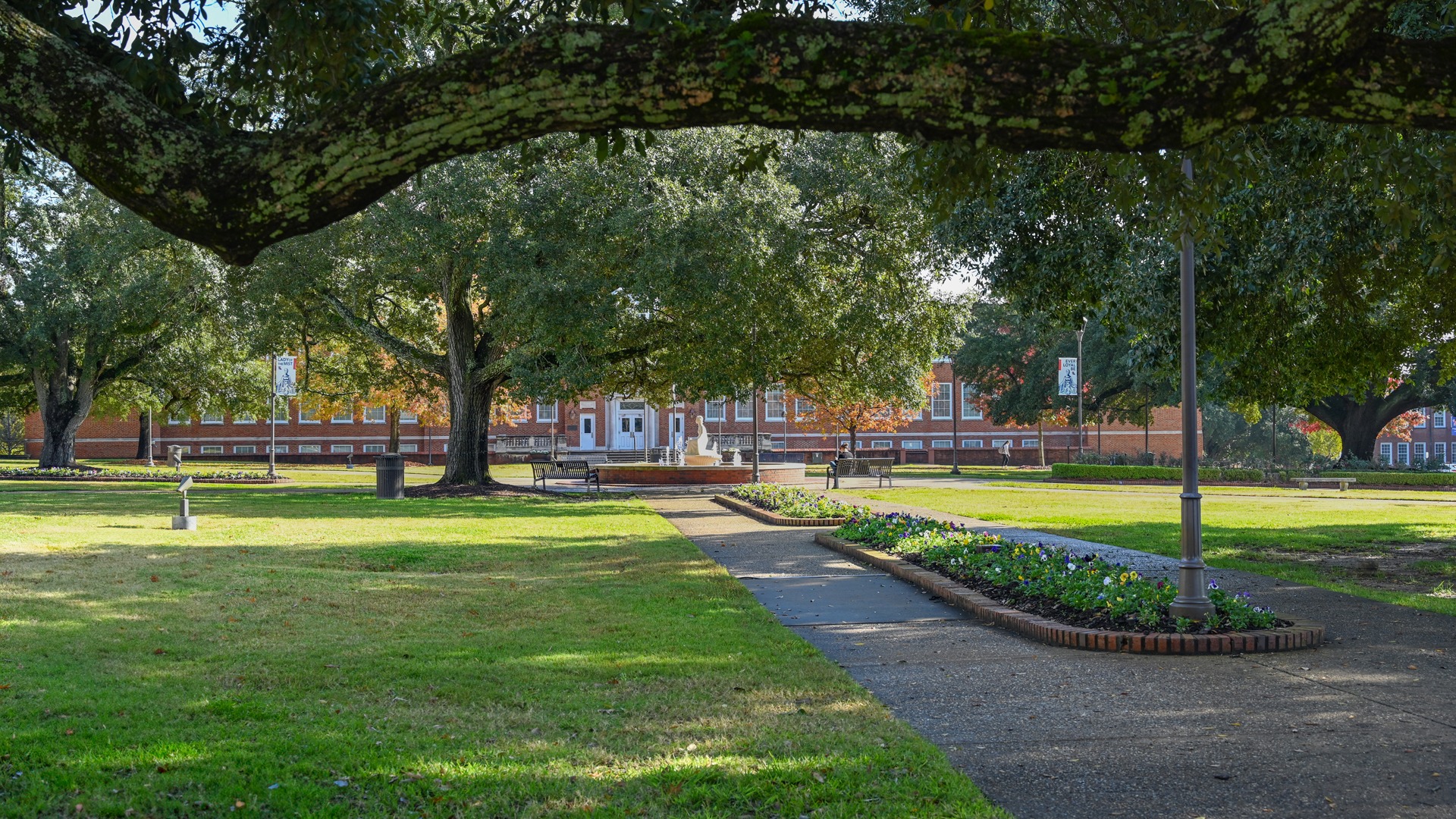 Louisiana Tech University quad