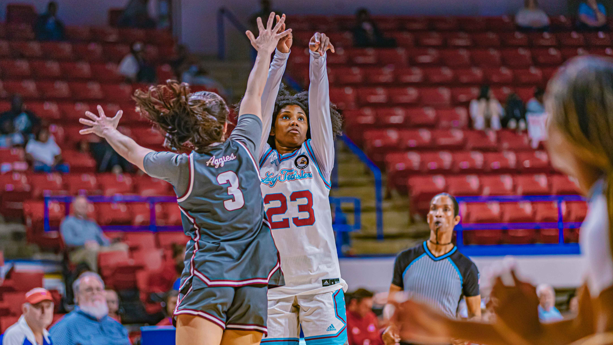 paris bradley nm state