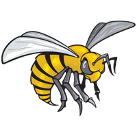 Opponent Logo