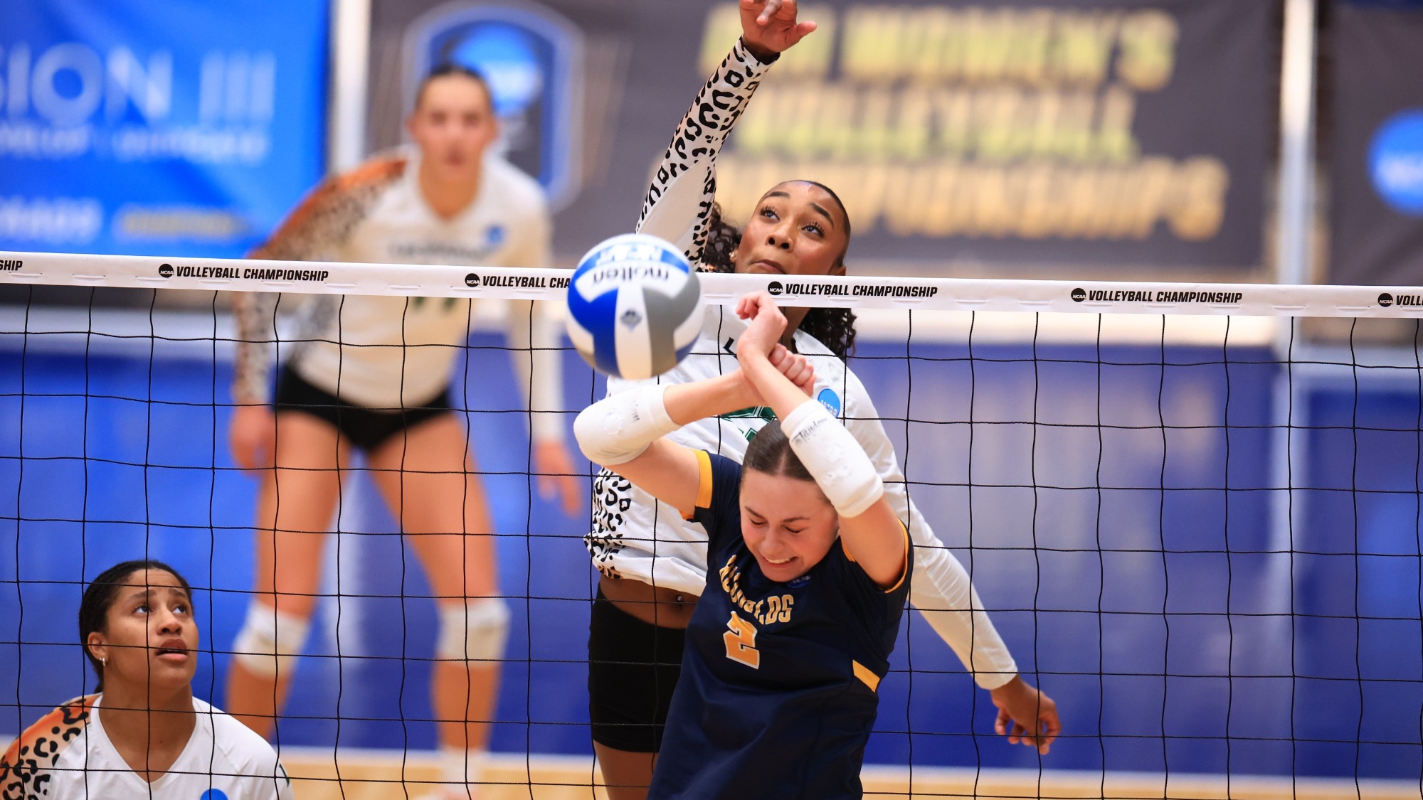 Mya Ray Kill at Net