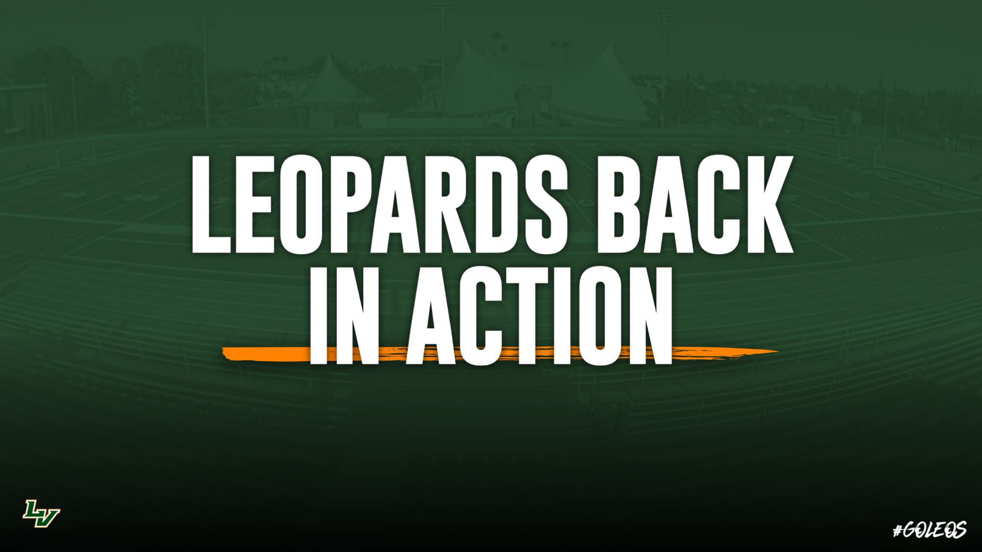 Leopards Back In Action