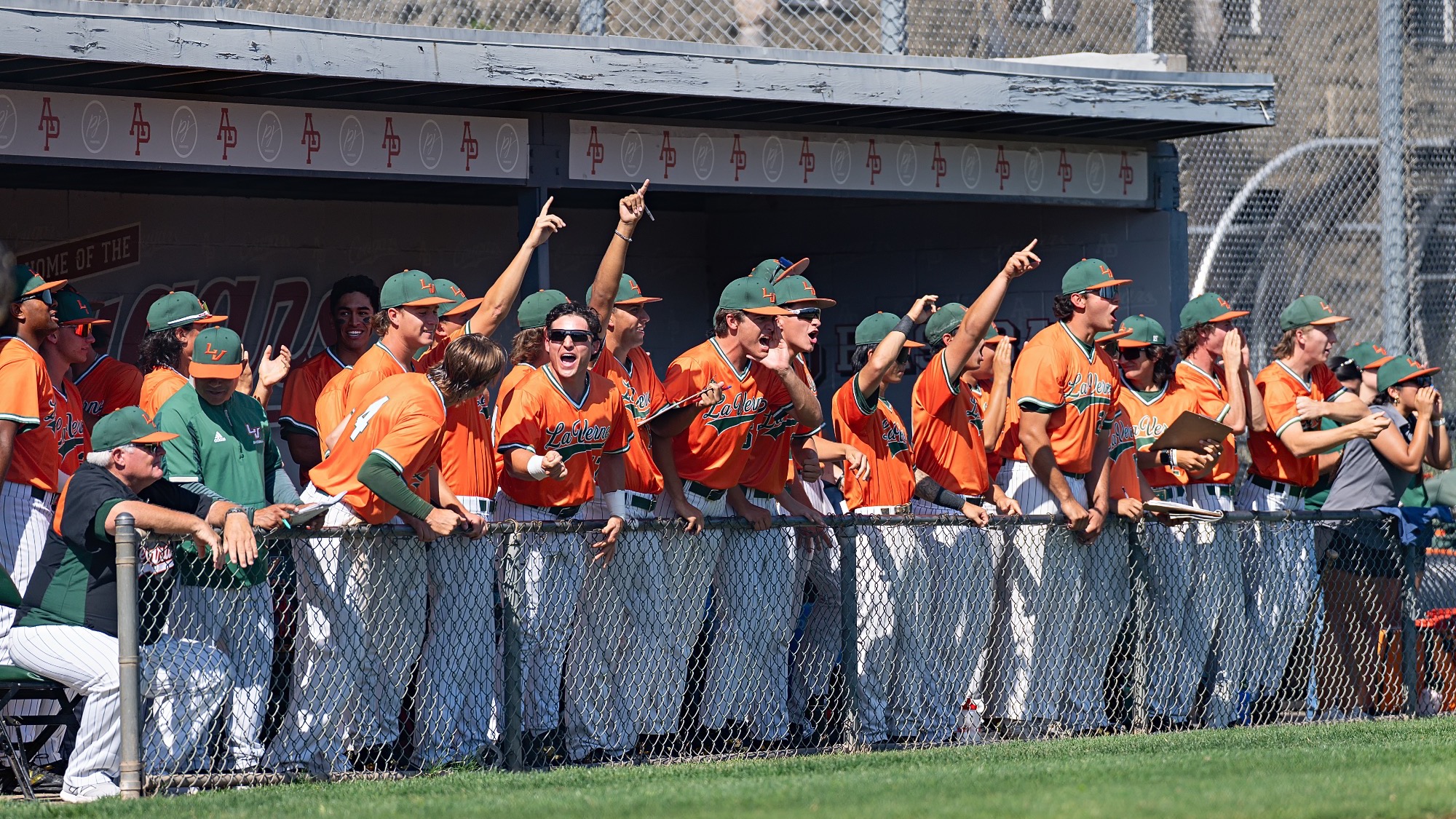 2026 Baseball Team Shot