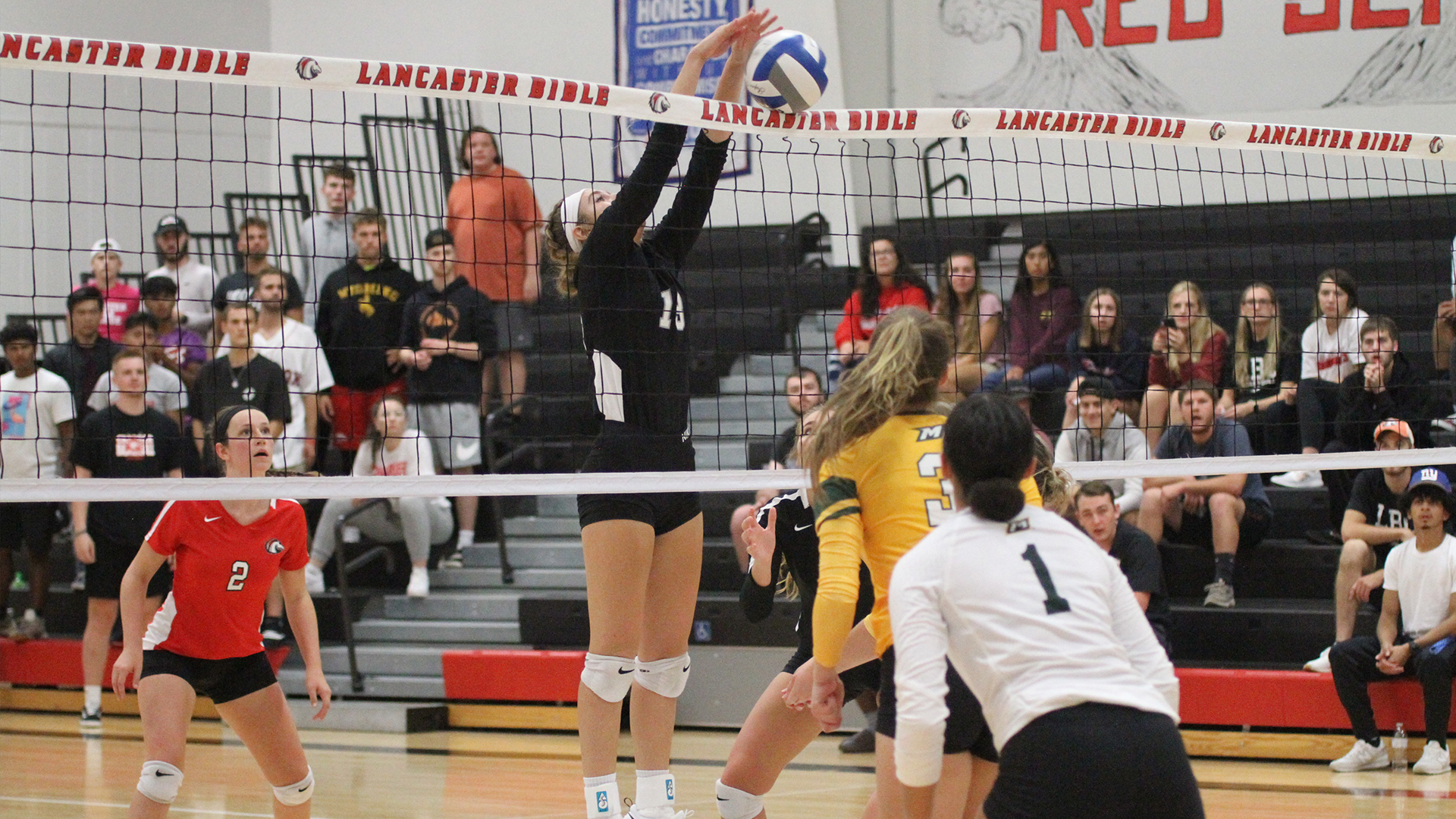 Sheyenne King 2023 Women's Volleyball Lancaster Bible College Athletics