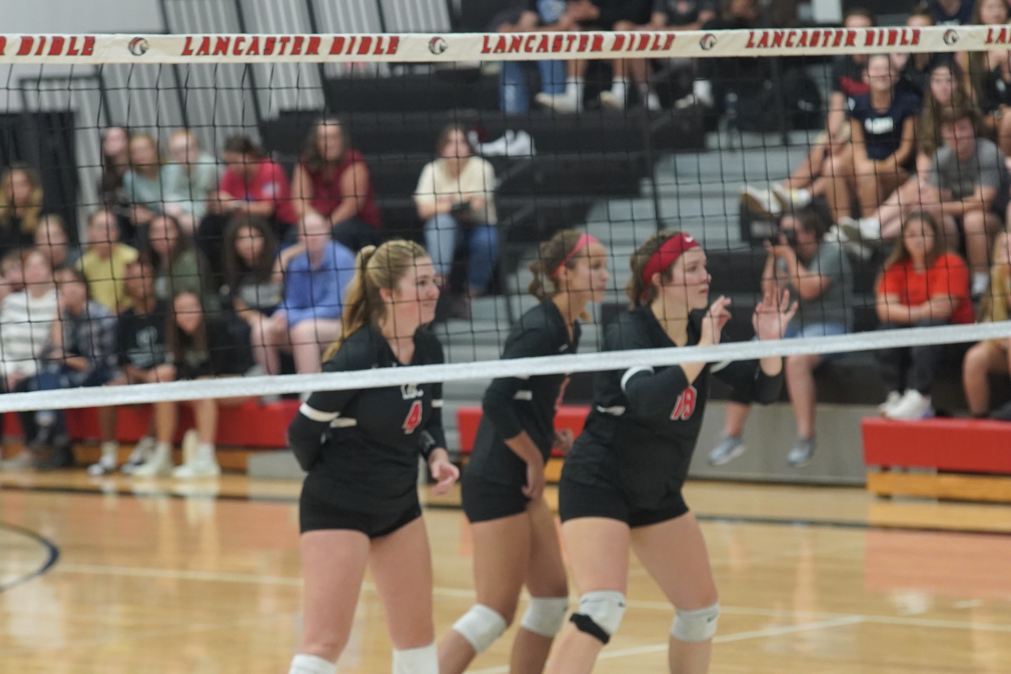 Women’s Volleyball Stays Perfect in Conference, Falls to Royals