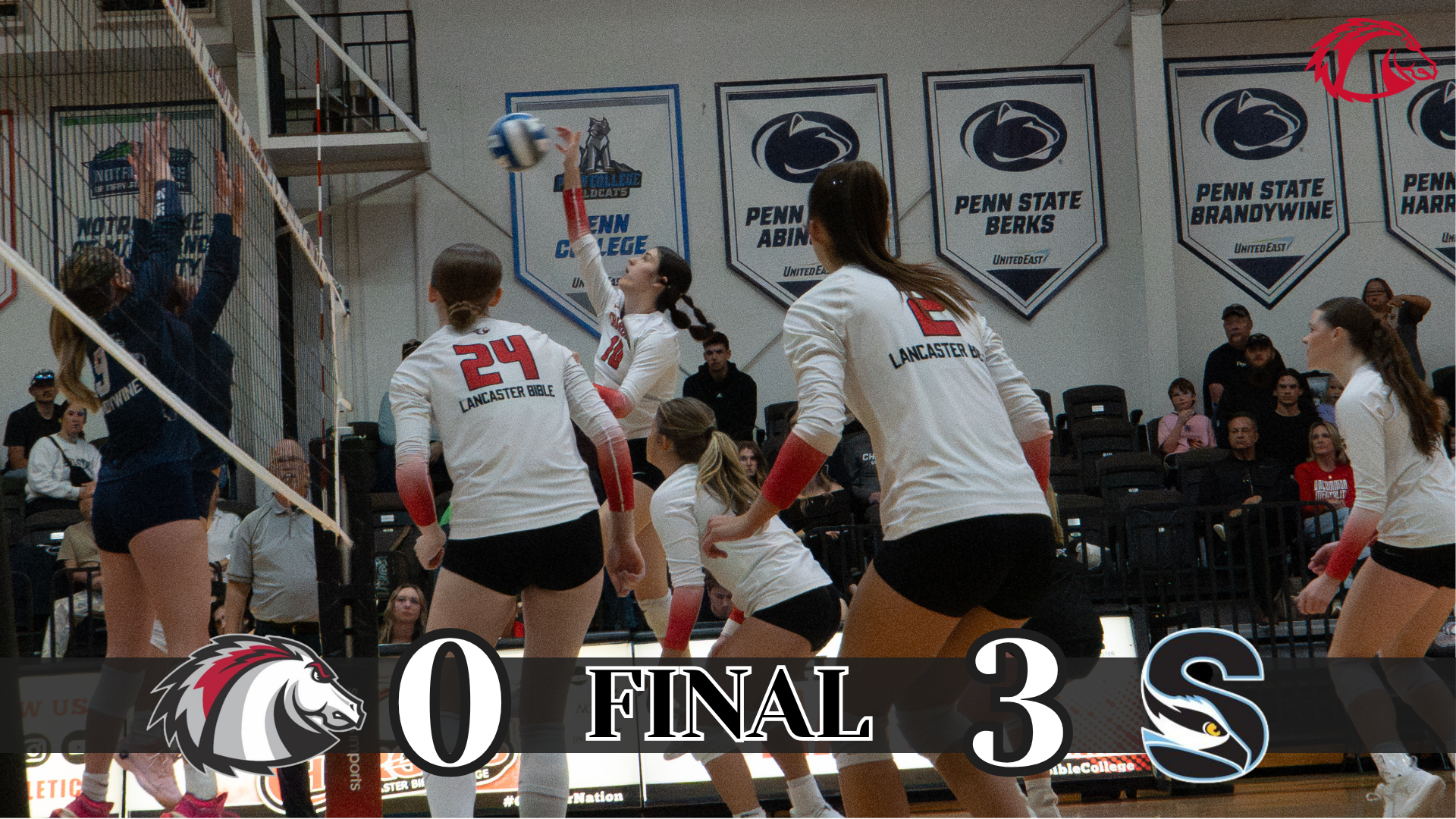 WVB_team_STK