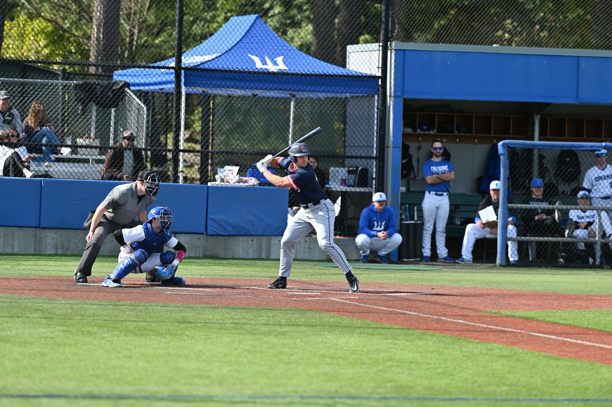 Cayden Wotipka Baseball Lower Columbia College Athletics