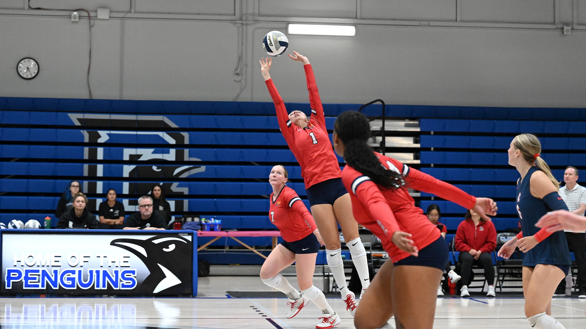 Kendal Dean sets the ball