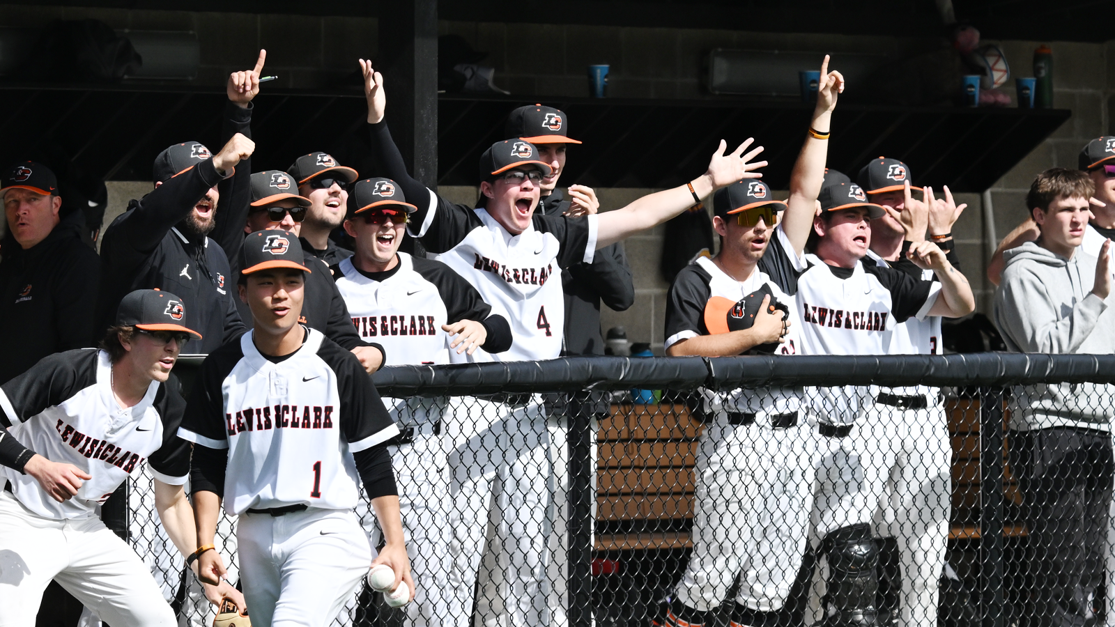 Baseball's dugout celebrates a big play