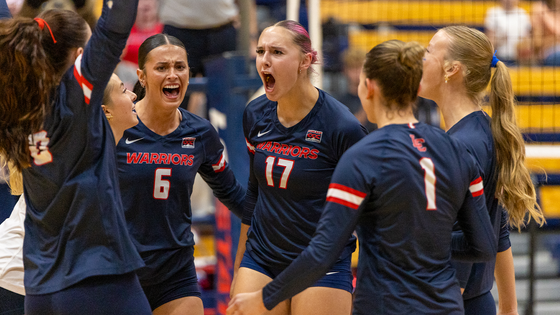 Volleyball team celebrates a point