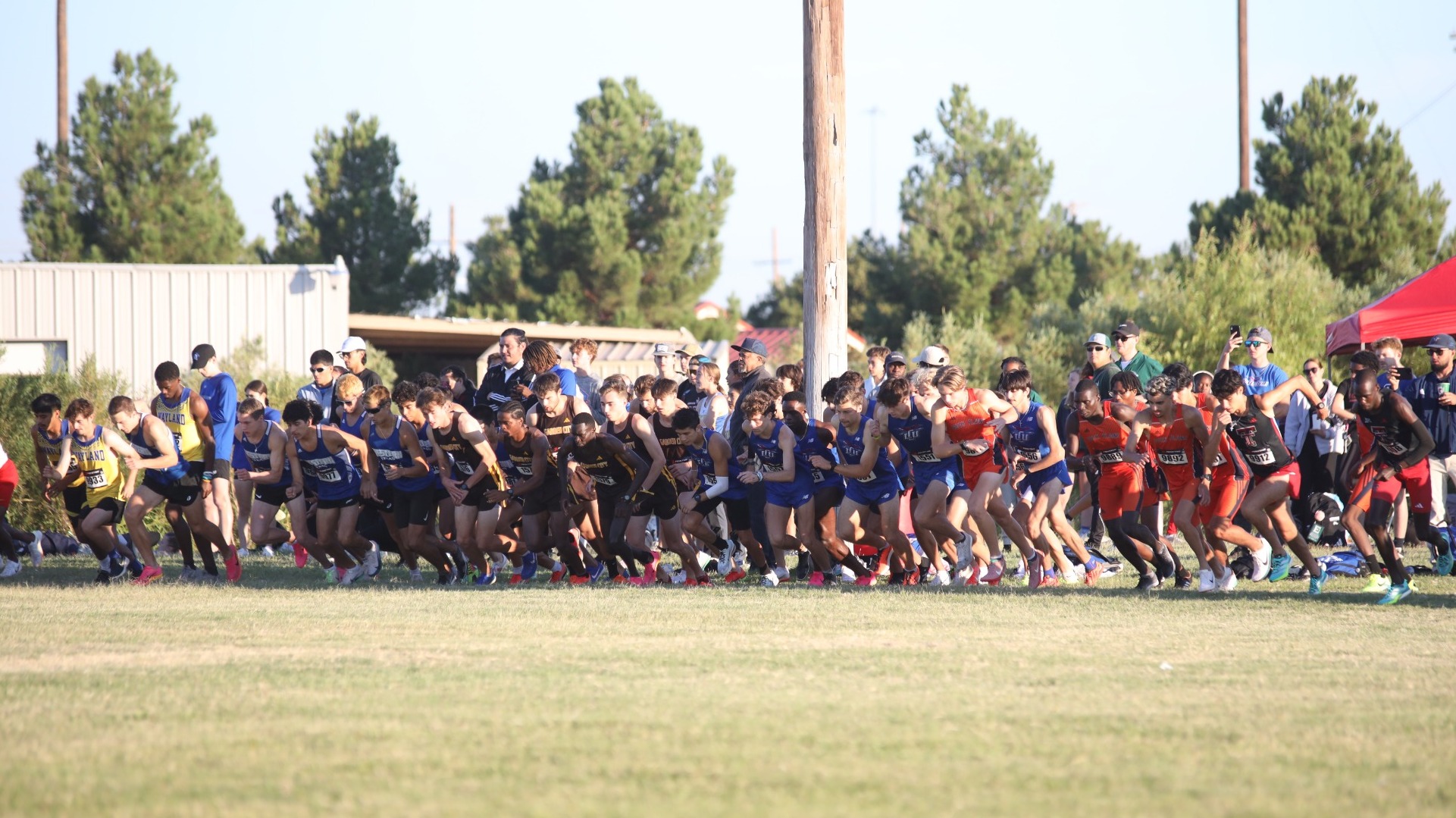 This is a photograph of a large group of male runners starting a cross country race. 