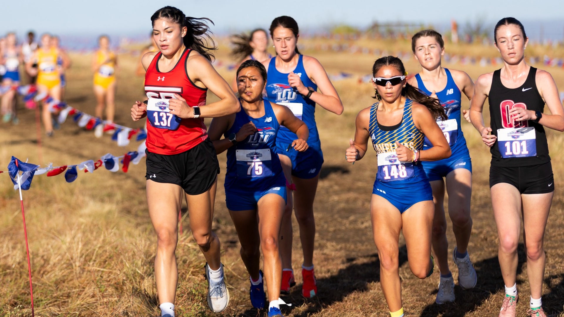 This is a photo of female athletes running at the LCU Cross Country Championships at the Athletic Performance Ranch in Forth Worth, Texas.