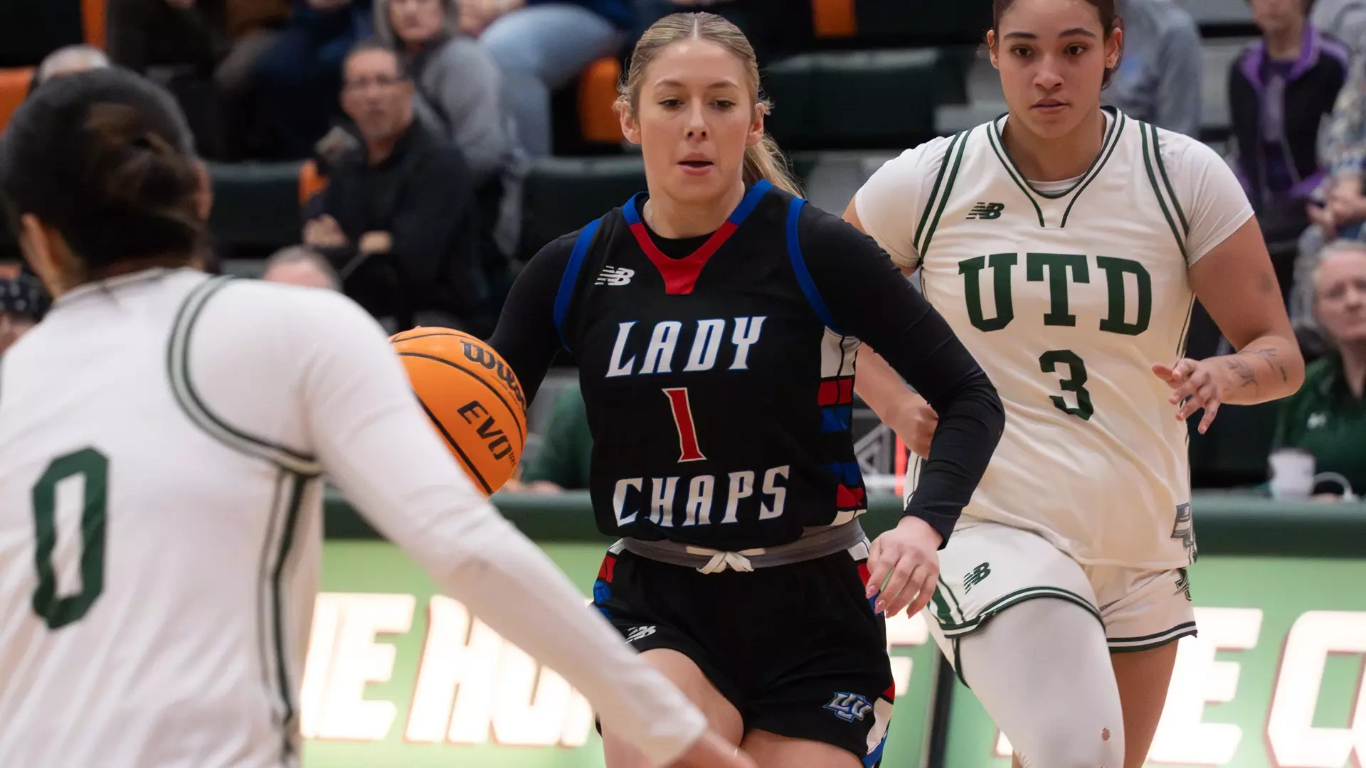 LCU women's basketball player number 1 in black long-sleeve 'LADY CHAPS' uniform with blue and red trim driving toward basket with Wilson basketball. Defended by two UTD players in white uniforms with green 'UTD' lettering. Game action on green court with spectators in background. Player demonstrates offensive movement during competitive play. New Balance logos visible on both team uniforms