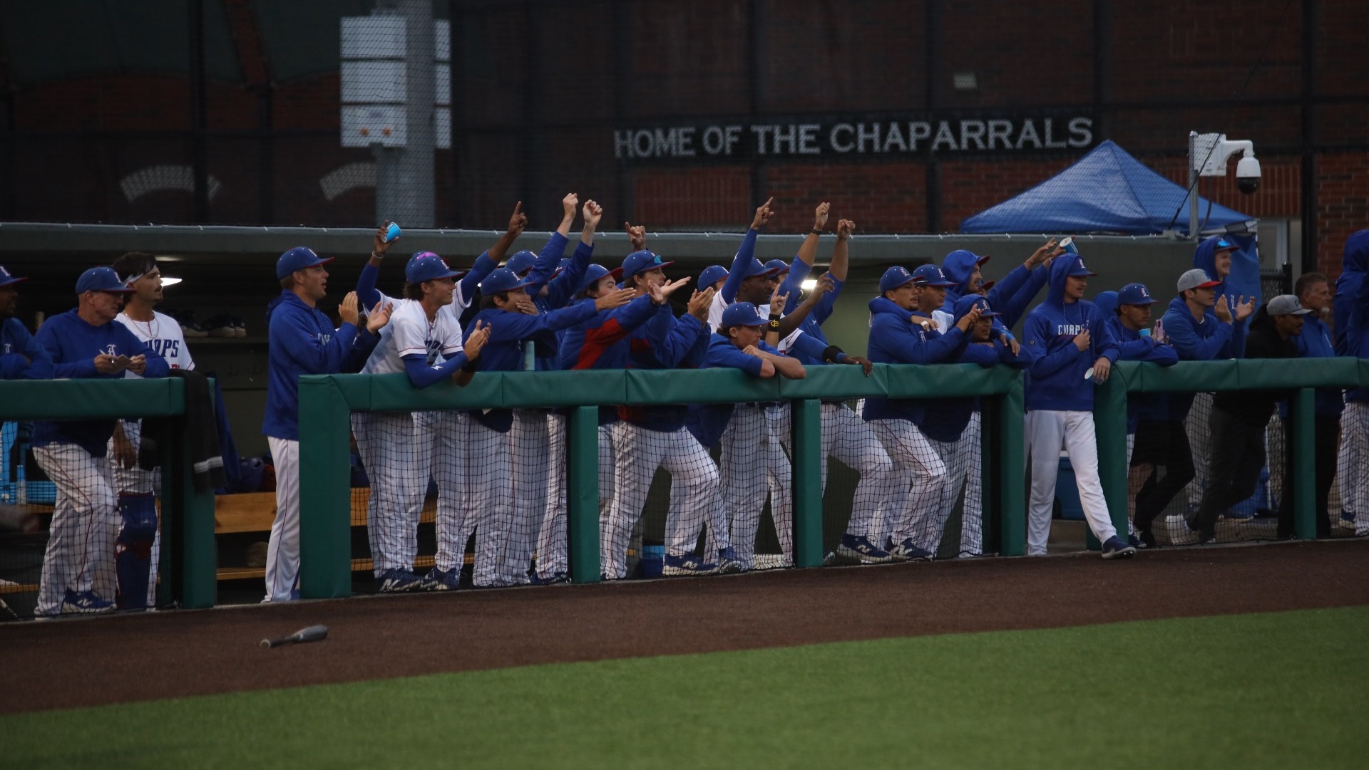Members of the Lubbock Christian baseball team wearing white jerseys and blue hats celebrate a hit from one of their teammates while in the dugout at Hays Field.