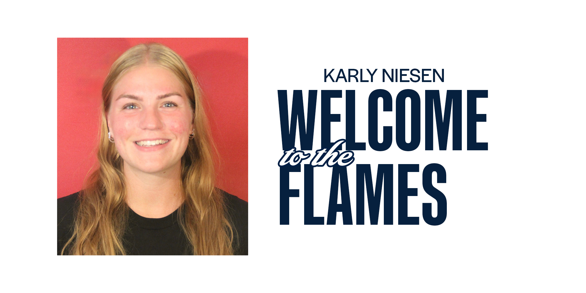 Niesen new VB assistant 