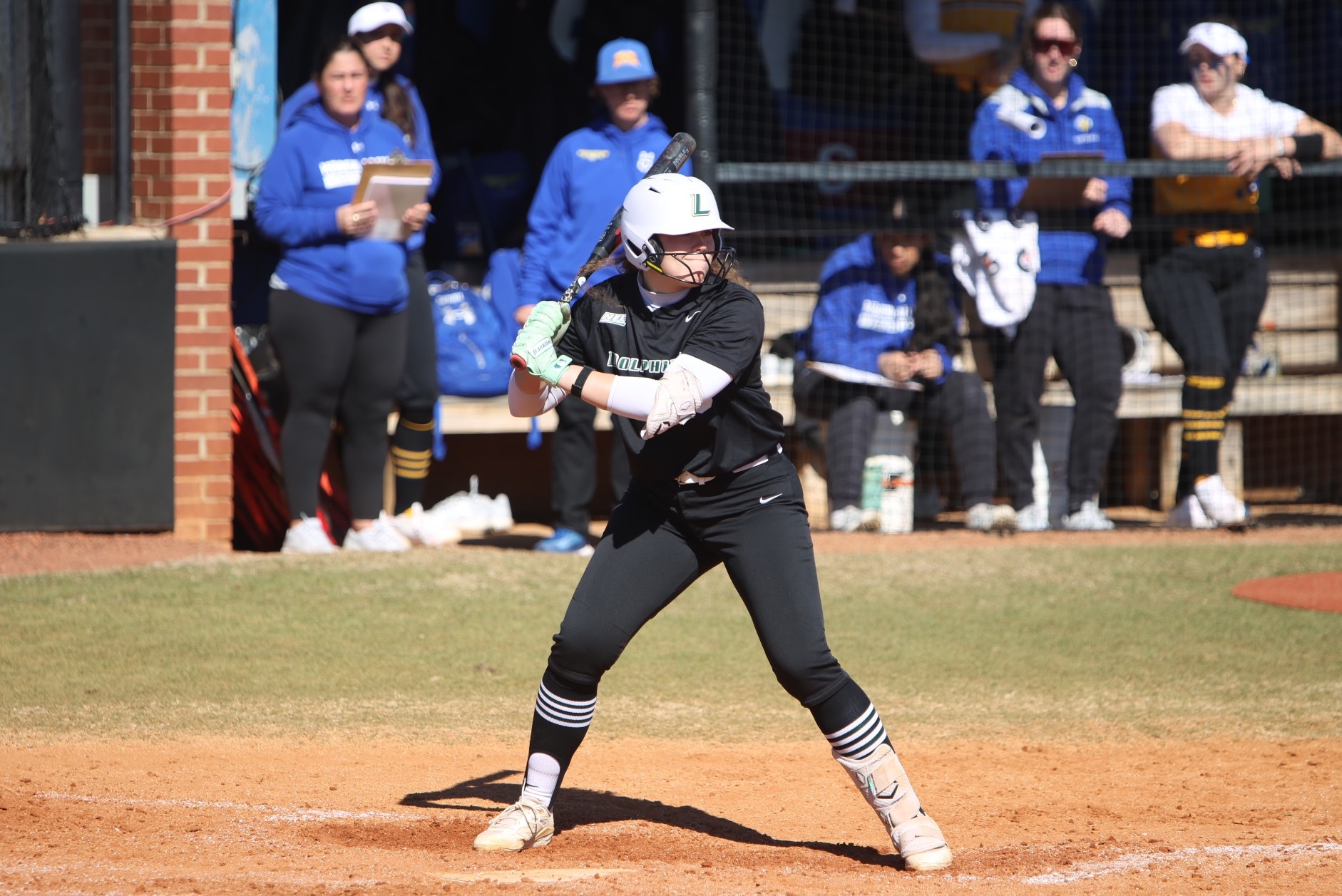 Exarchakis batting vs Morehead State