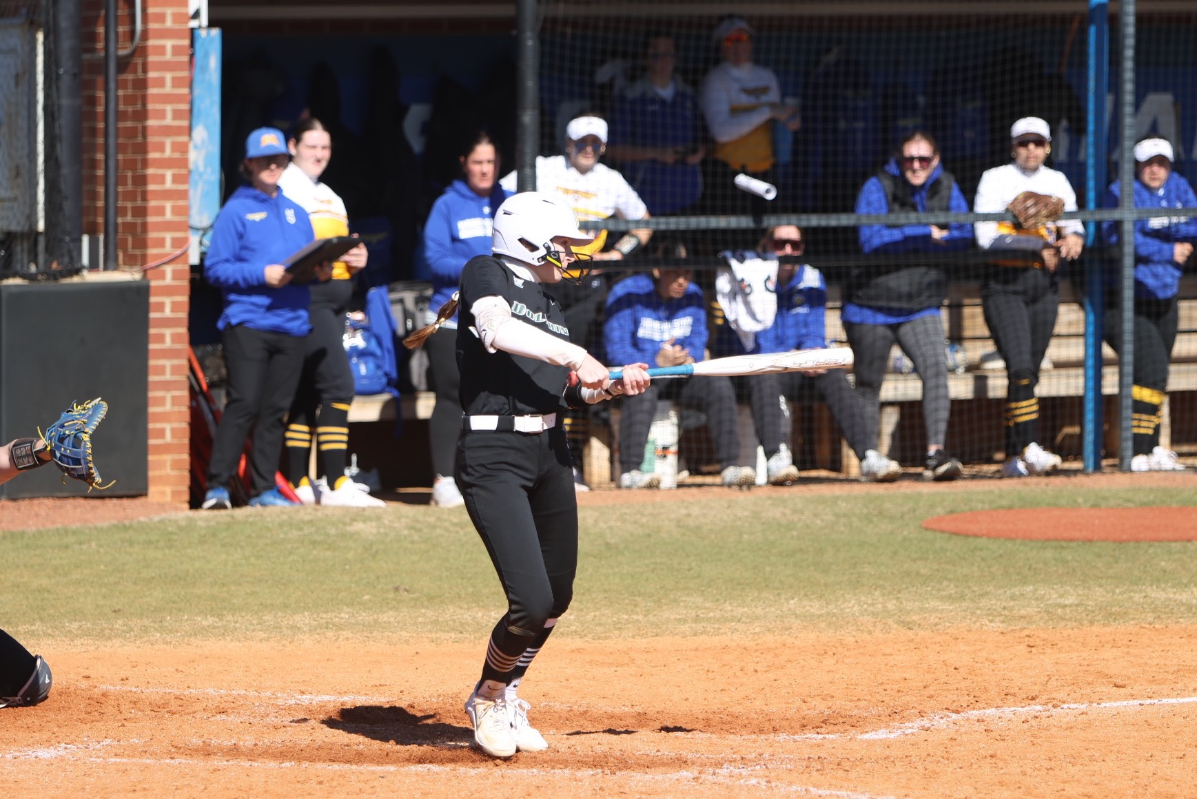 Avery Linn vs Morehead State