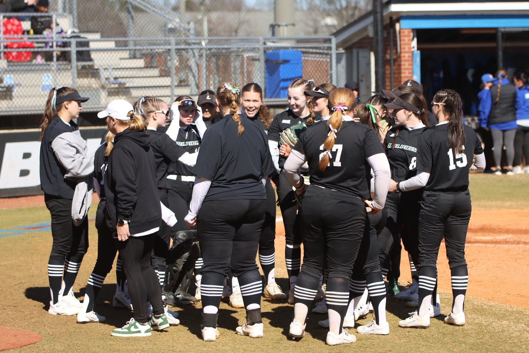 Softball Team Huddle