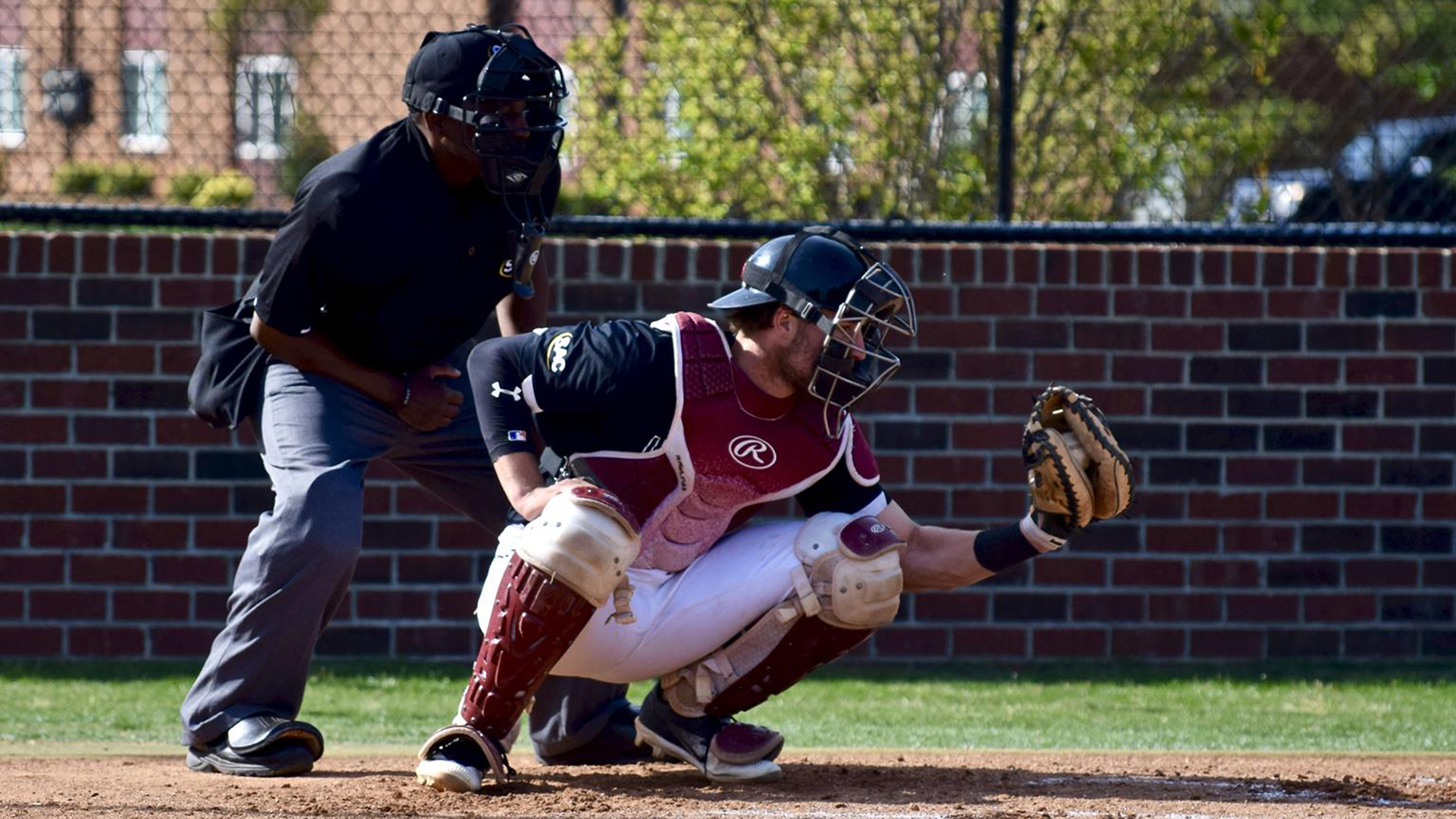 Zack Shoemaker Baseball LenoirRhyne University Athletics