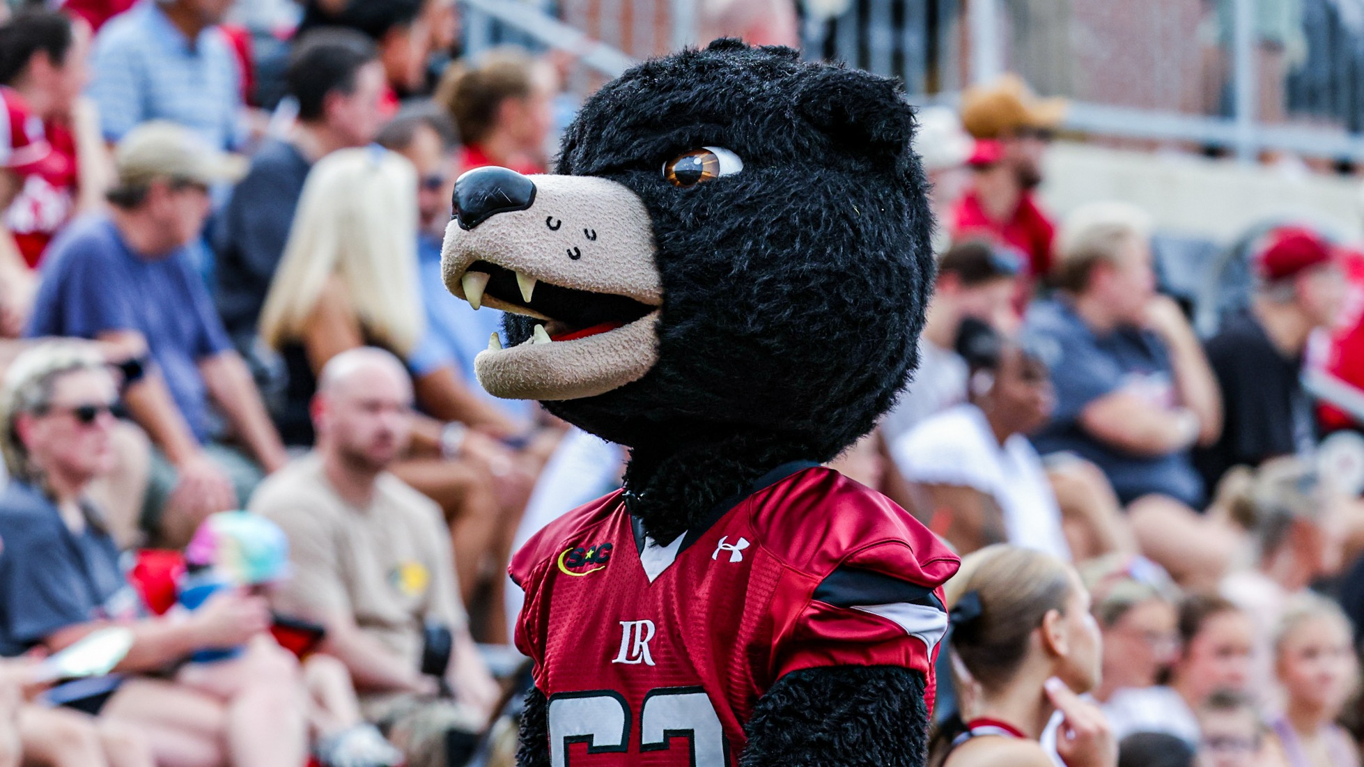 Joe Bear