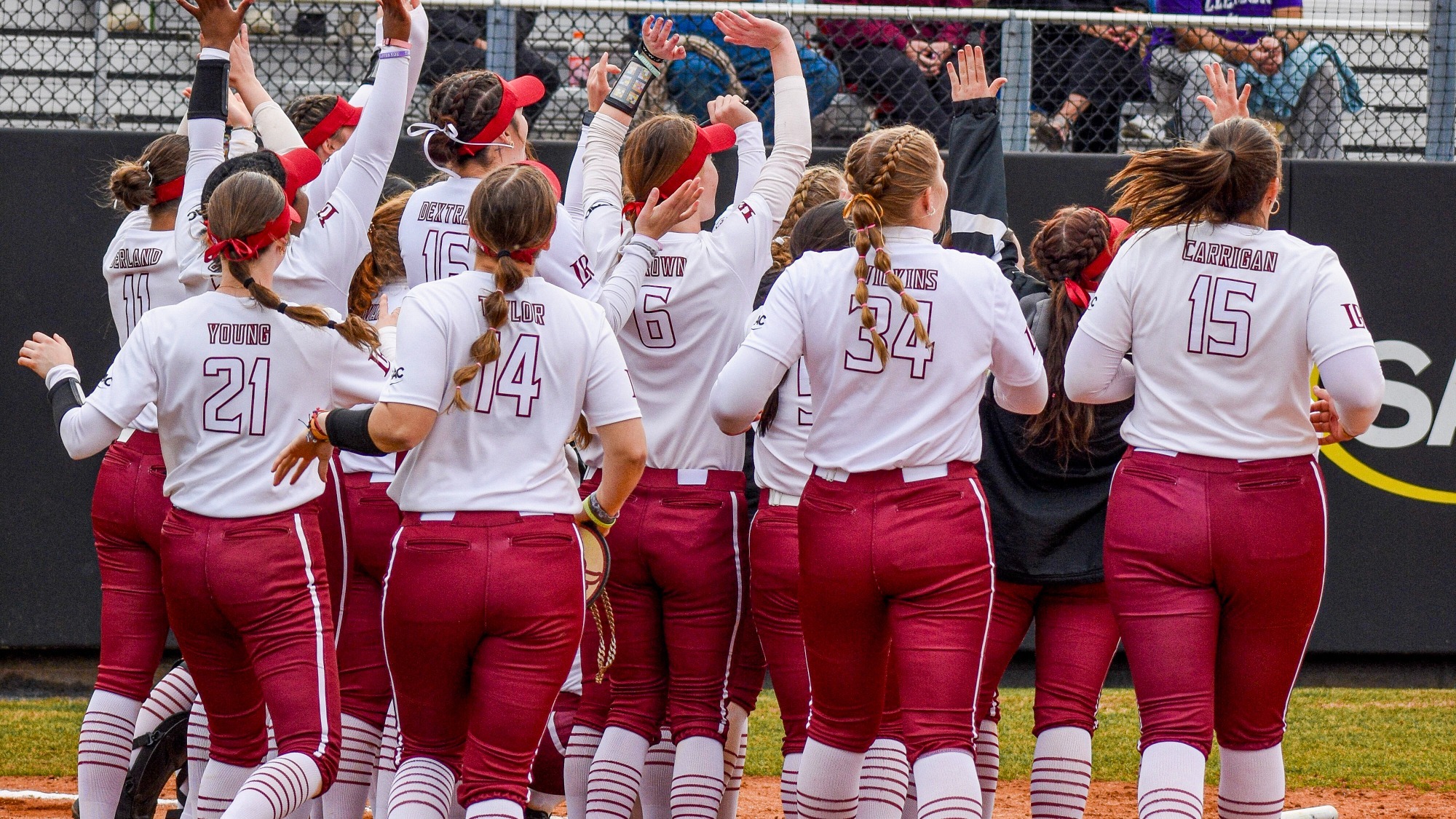 Softball team celebrating