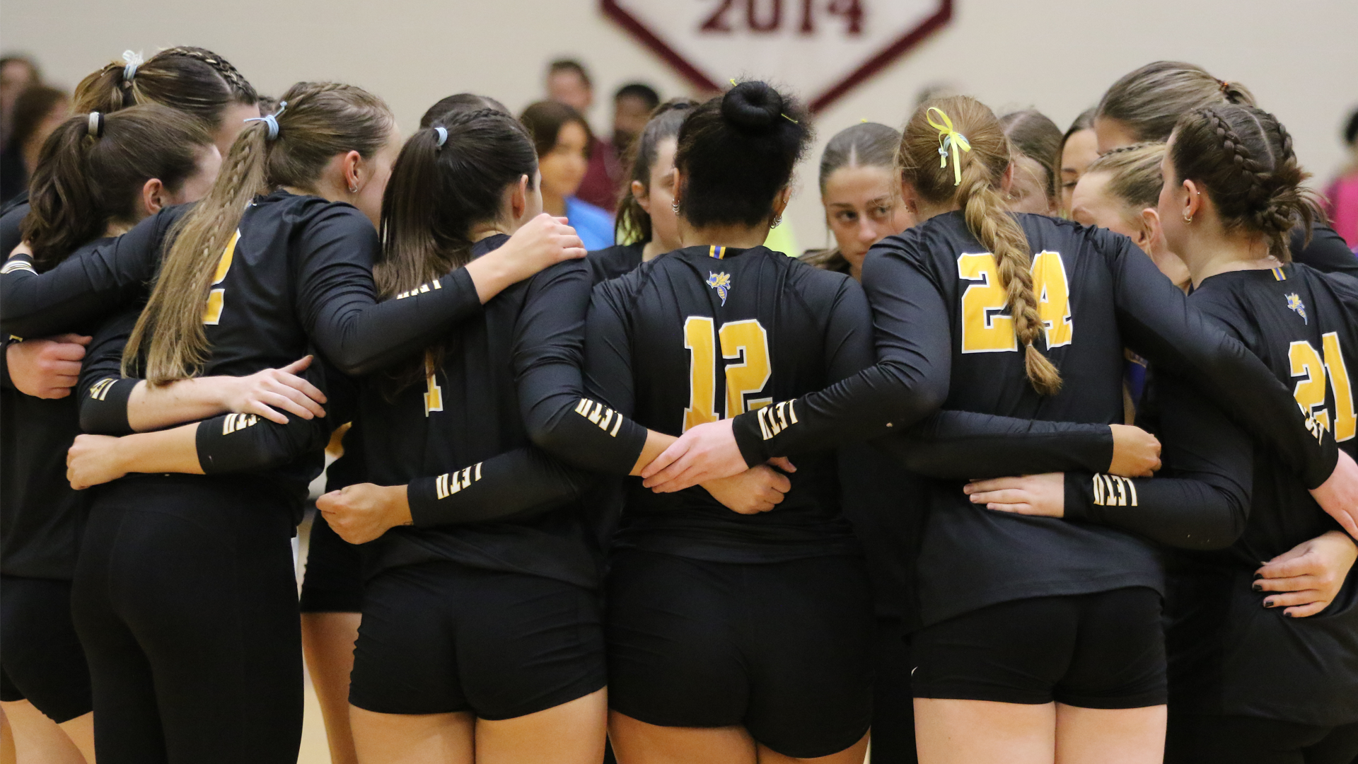 Volleyball vs Schreiner
