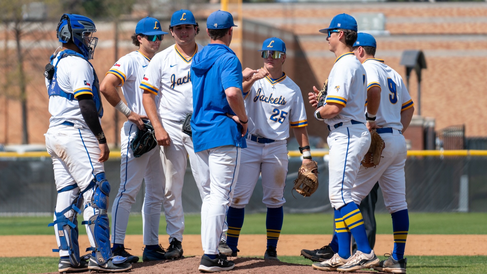 Baseball Schedule web