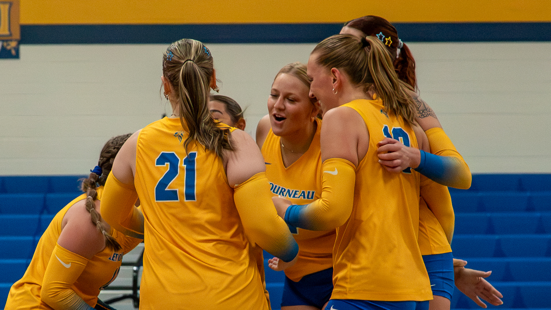 VB Blue/Gold