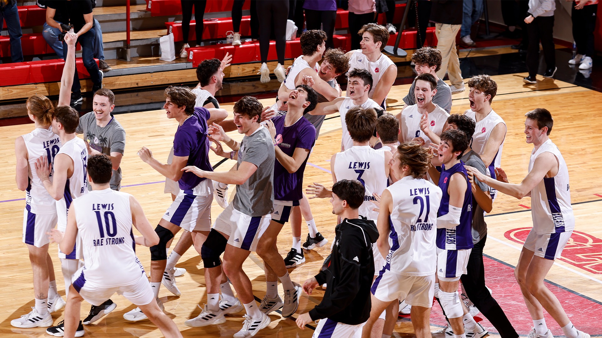 Men's volleyball bench celebrates