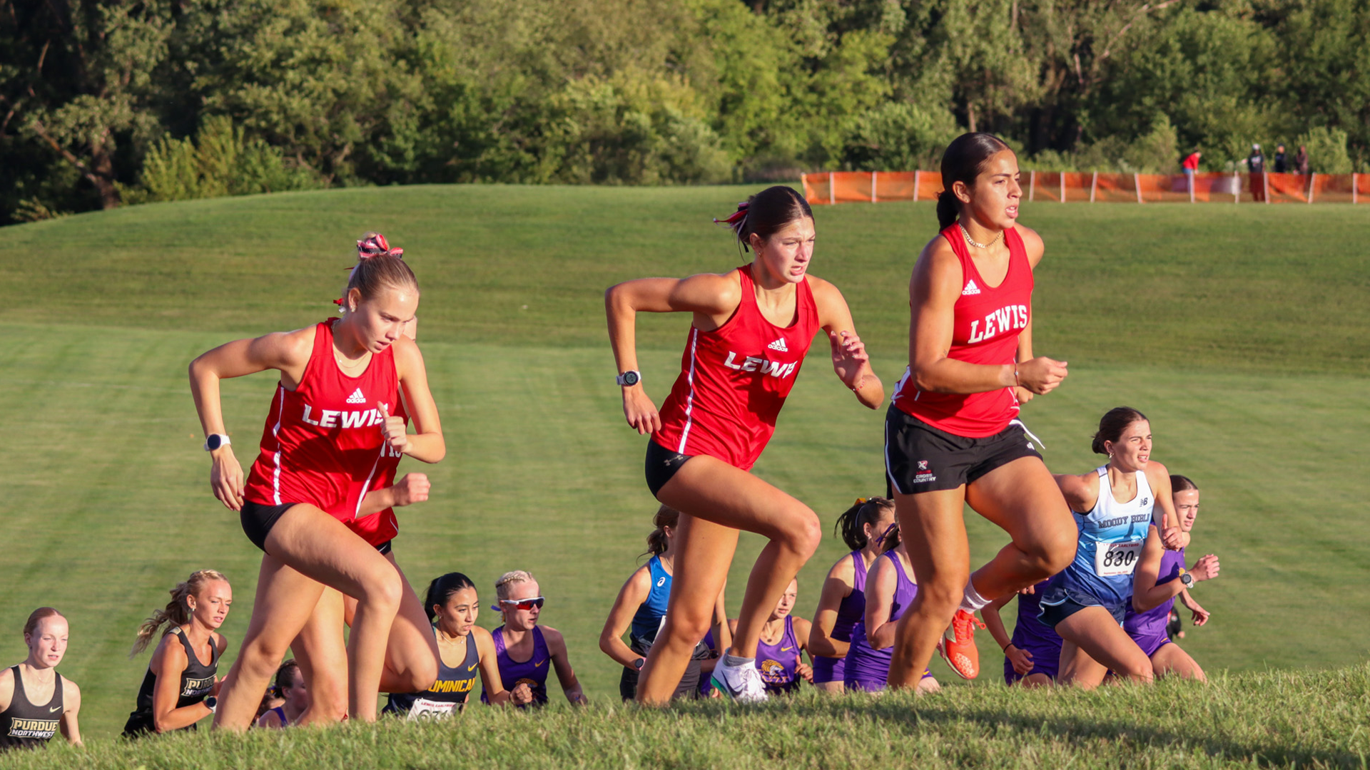 Women's cross country runners run up the hill on the Lewis Cross Country Course