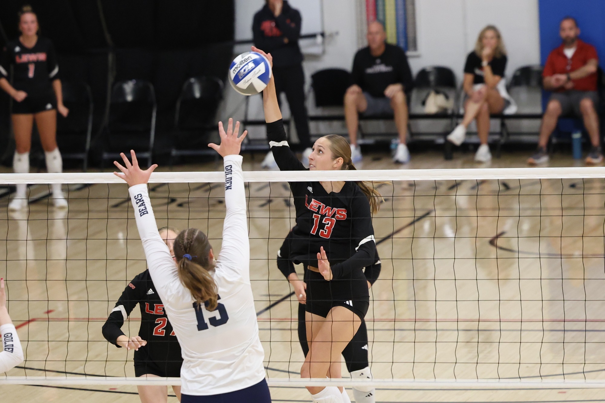 Sarah Newberry goes for a kill